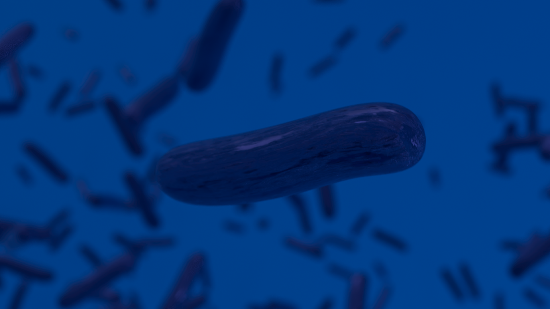 milk_check_background_02.png