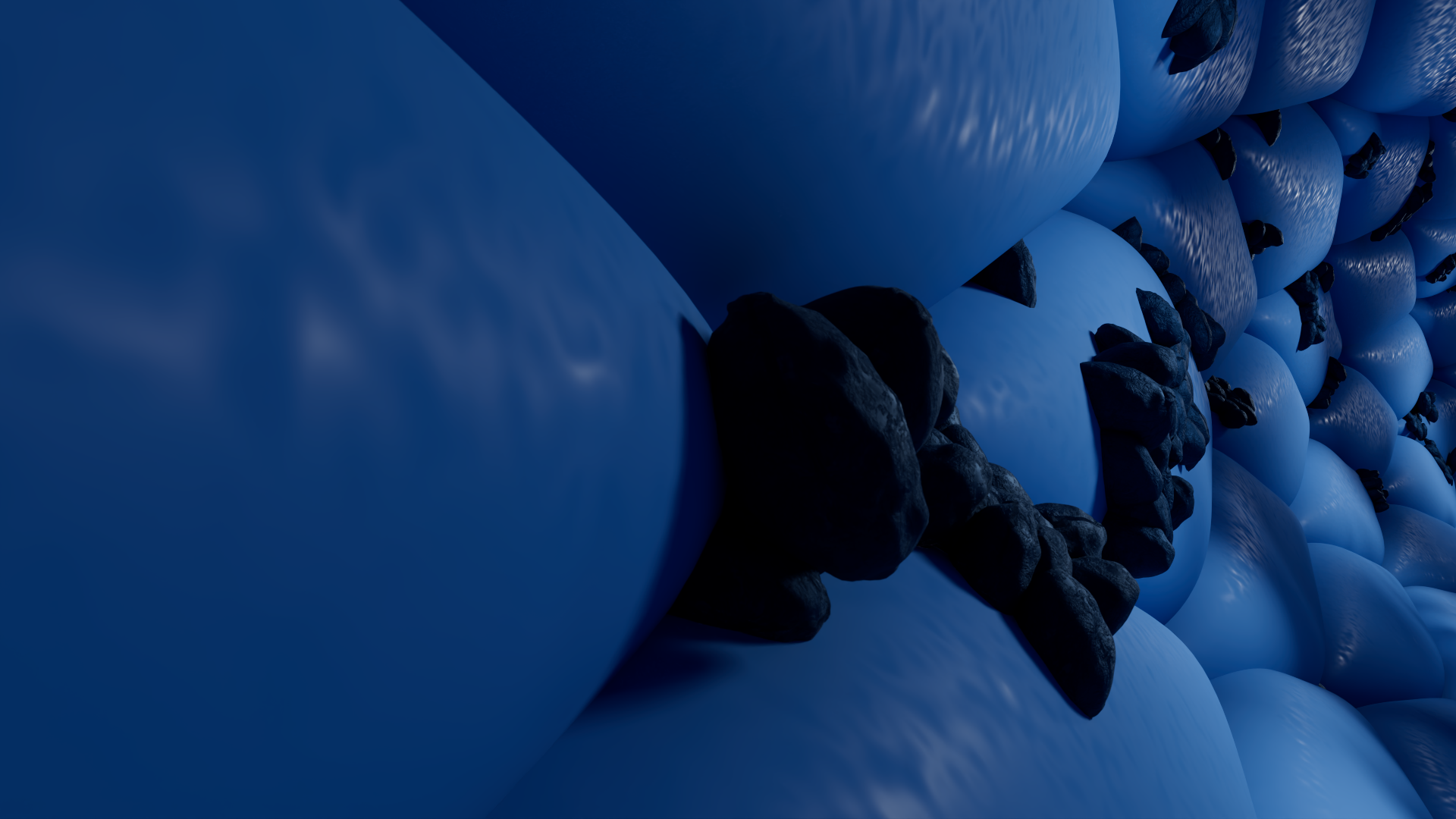 rapid_identification_background_04.png