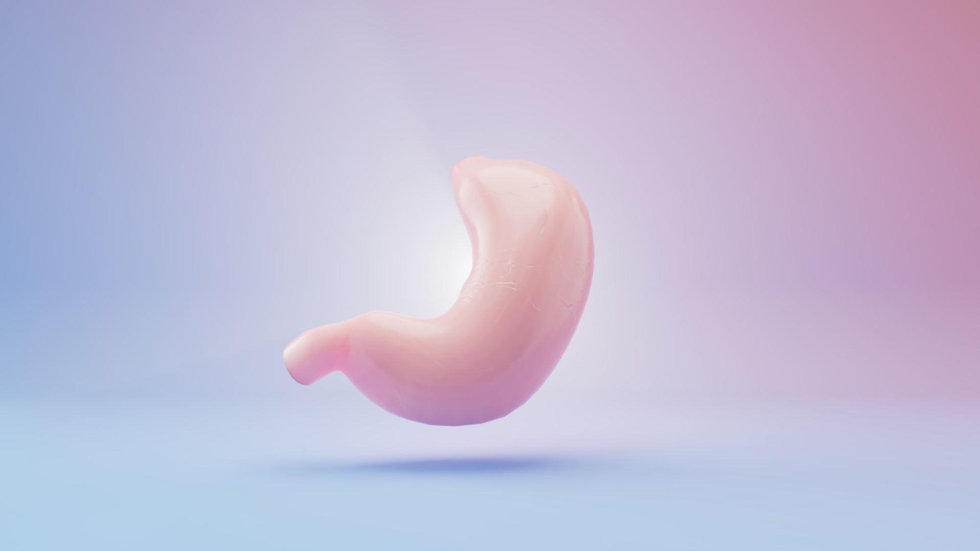 All organs stills0004.png