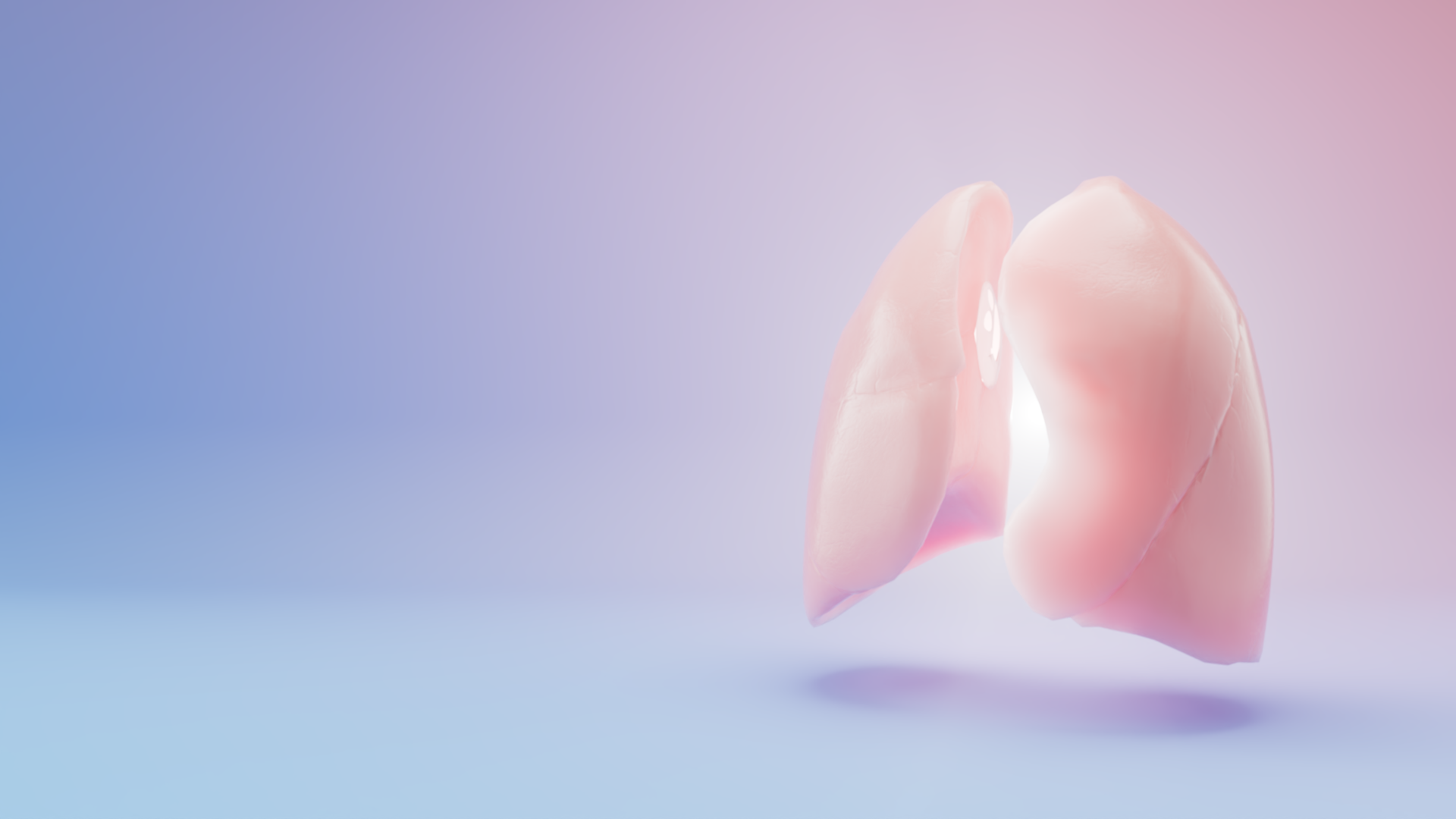 All organs stills0006.png