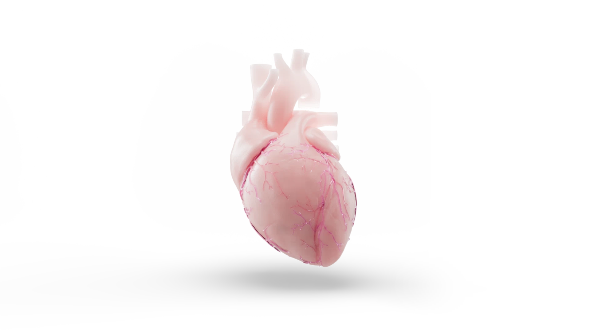 pill_and_heart_transparant_bg_fadeout.png
