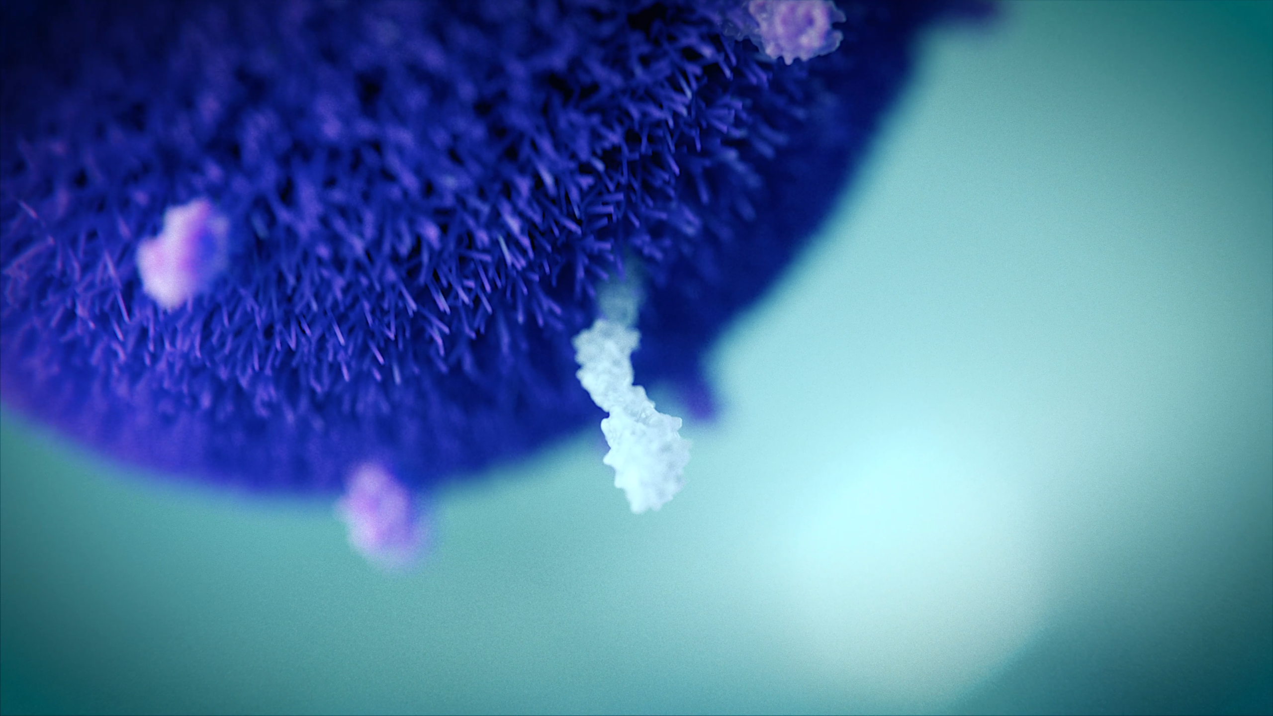 Close-up of bacteria in intestine, taken from our 3D animation on cell culture technology for Hans Clevers and the Hubrecht Institute