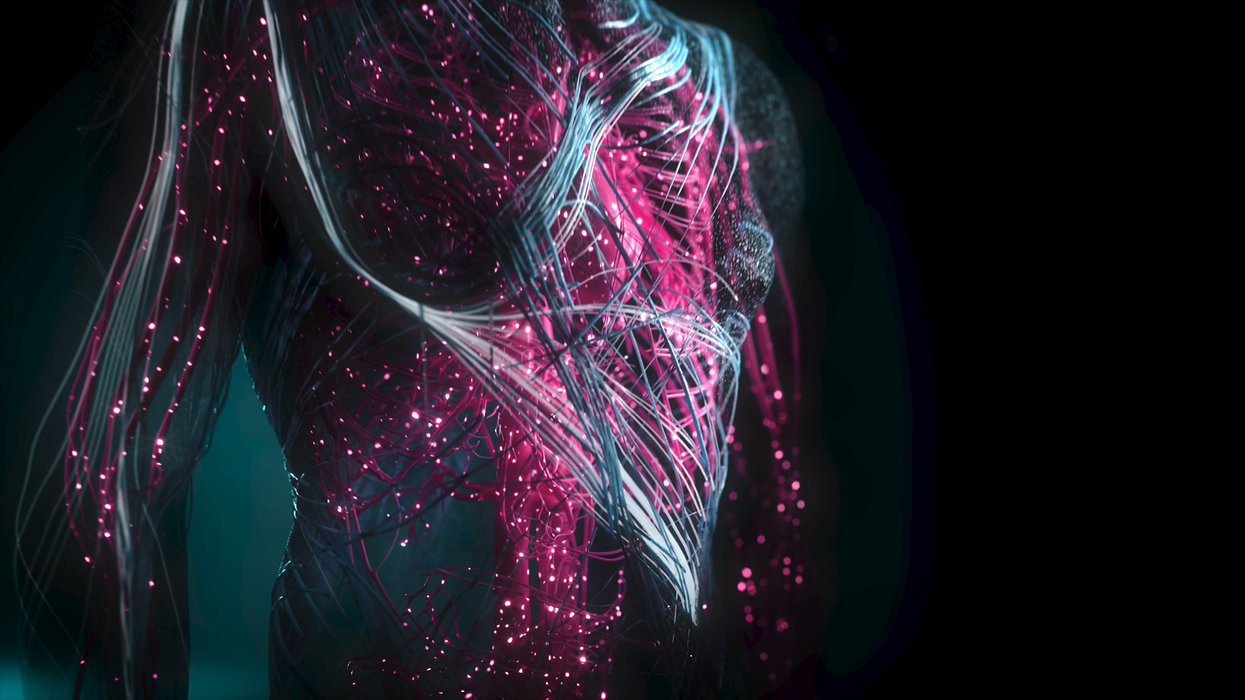 Hecklab Spider Protein Body