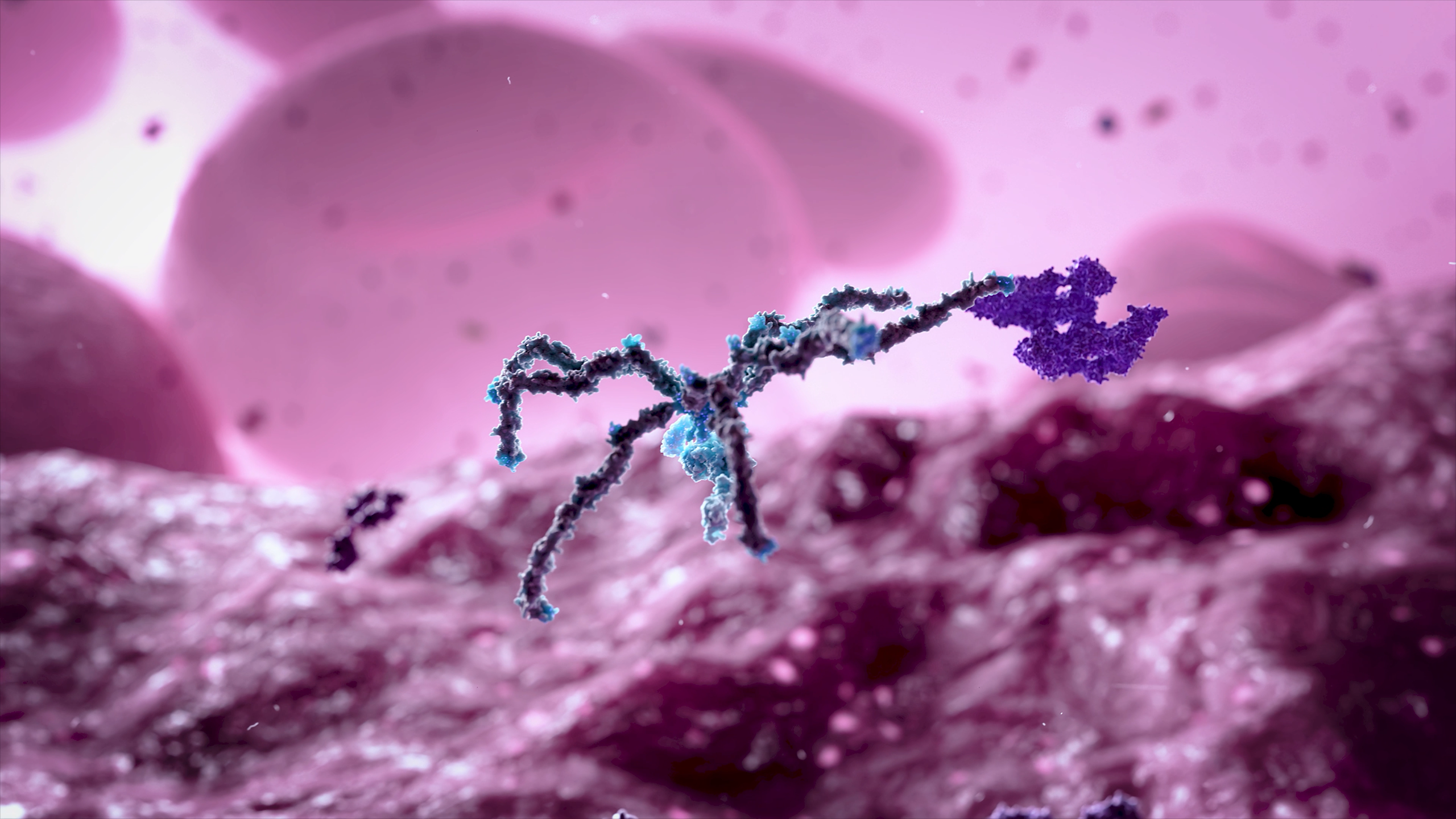 Hecklab Spider Protein waste