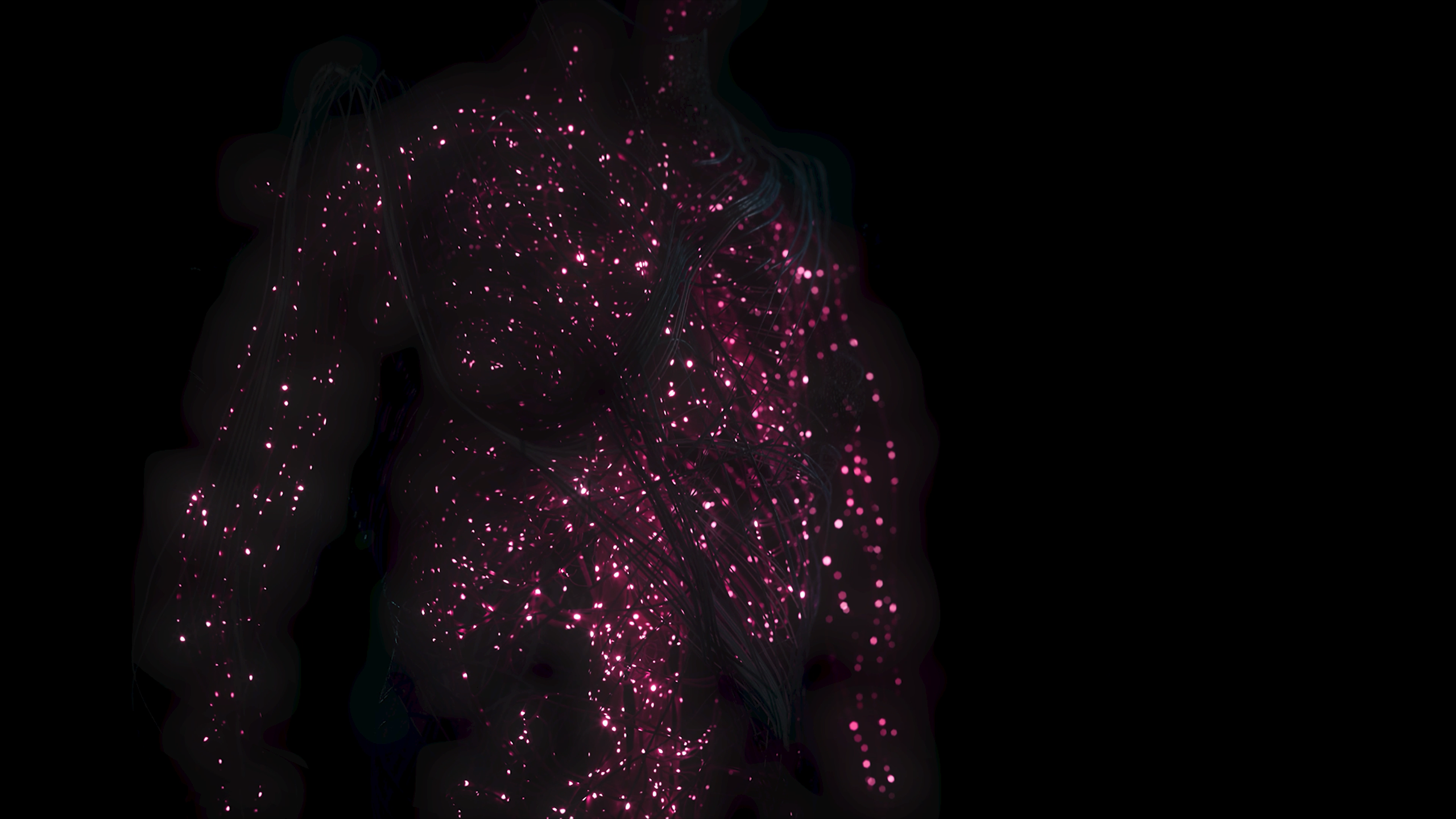 Hecklab Spider Protein silhouette