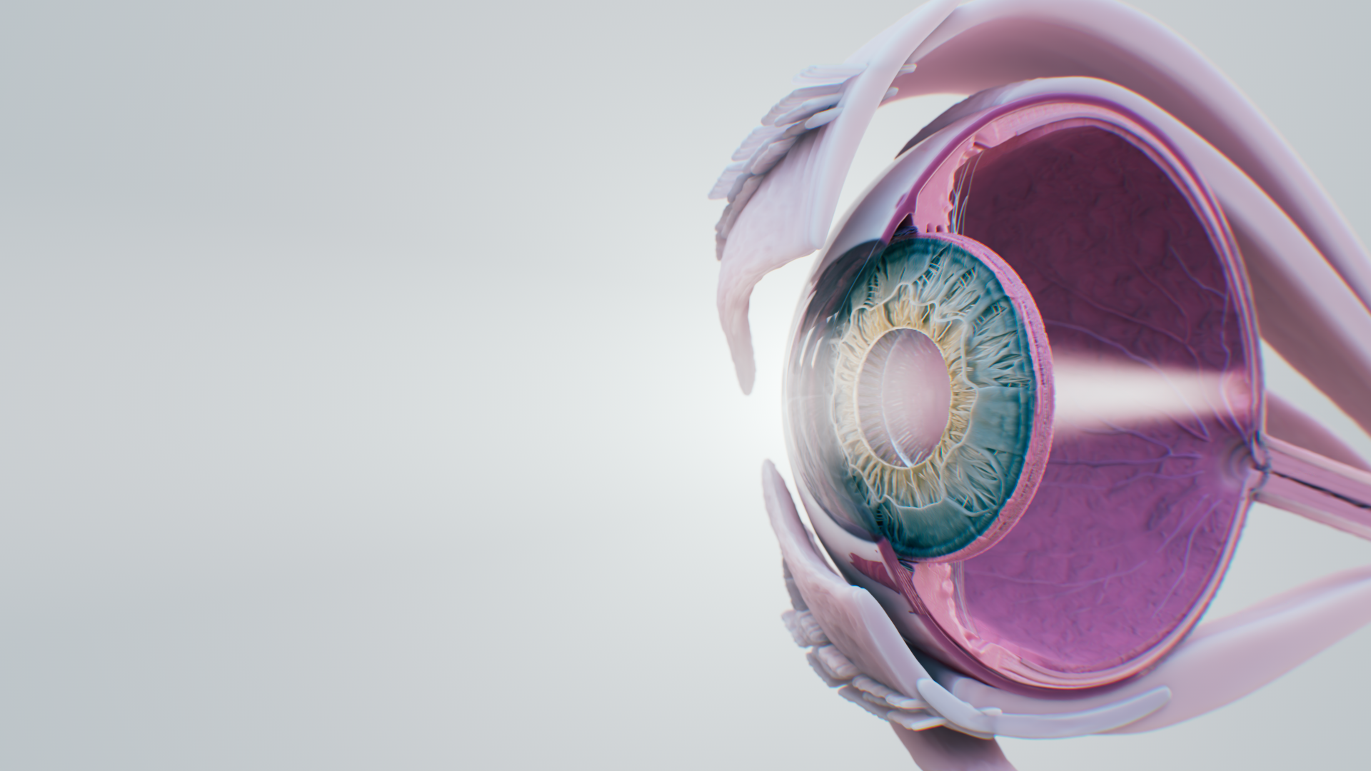 Santen eyesite 3d animation of the eye