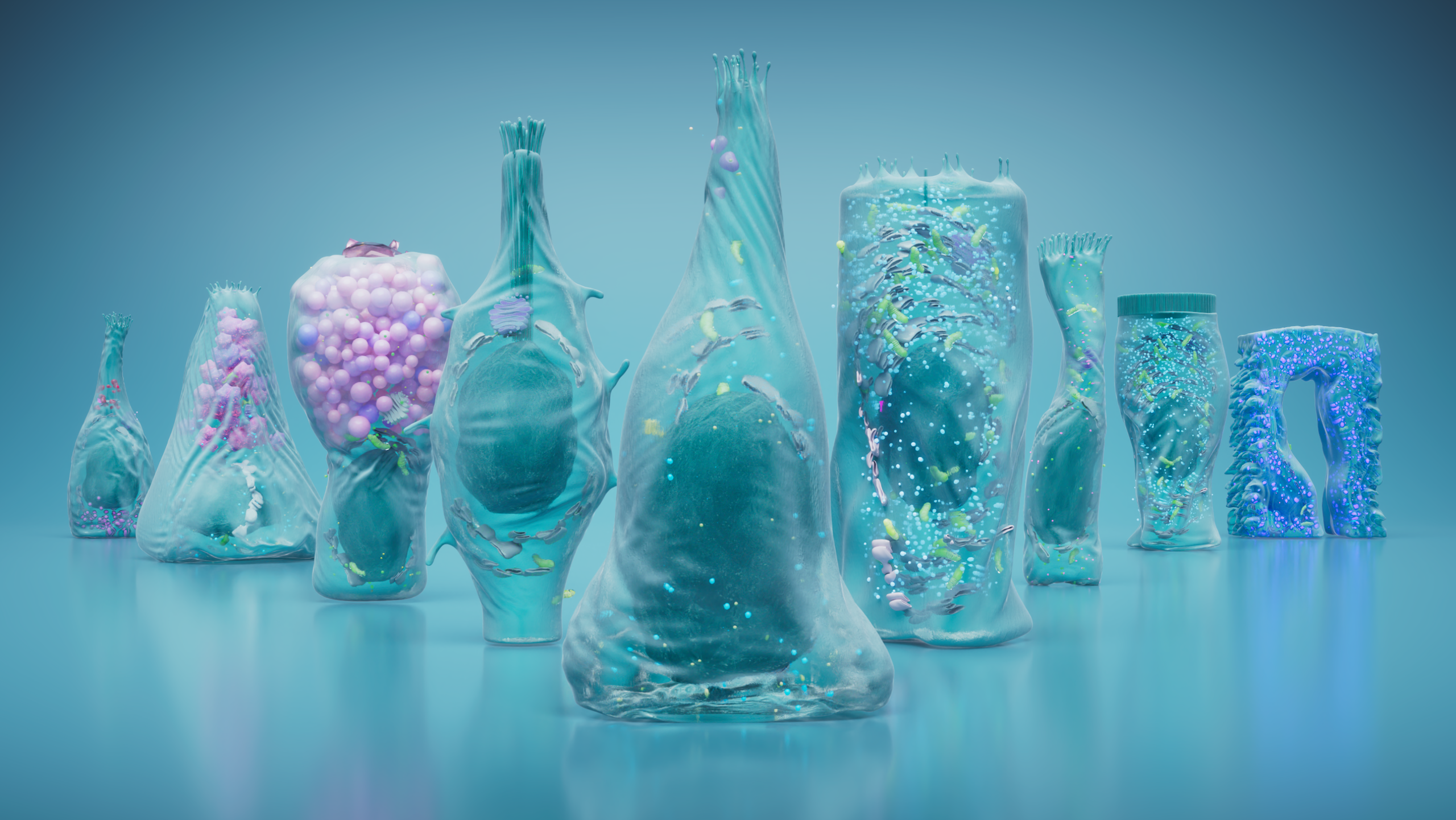 Cover_2.1_V Line.png