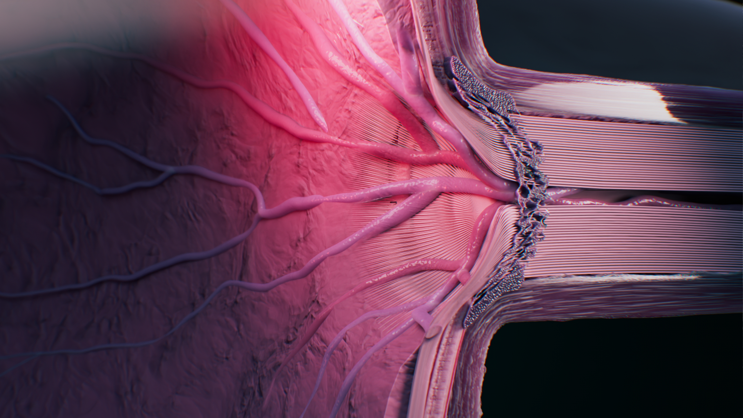 Santen_Eyesite_Case_Reference.png