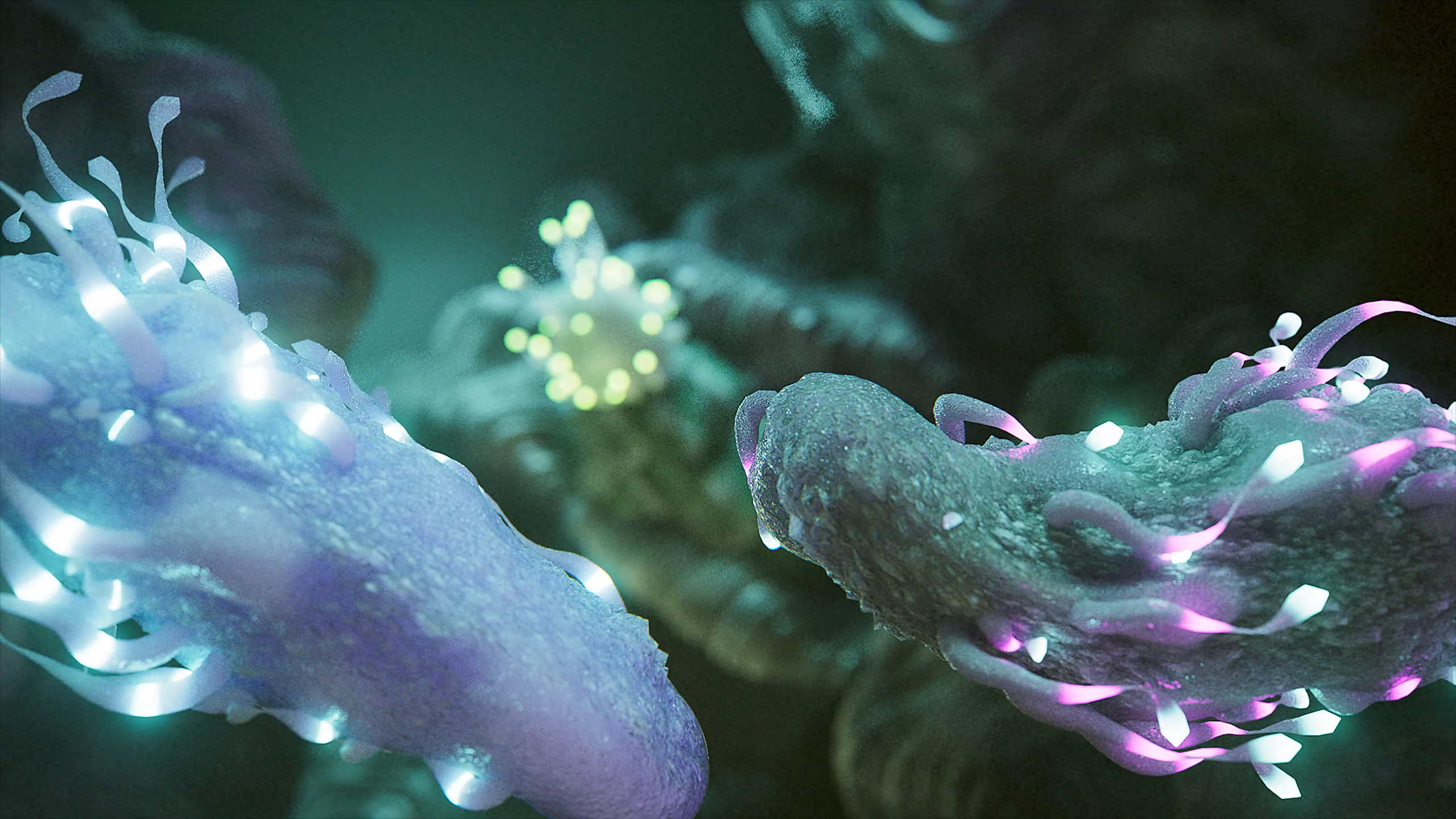 human_blueprint___episode_4___t_cells_ (Original).00_00_43_00.Still016.png
