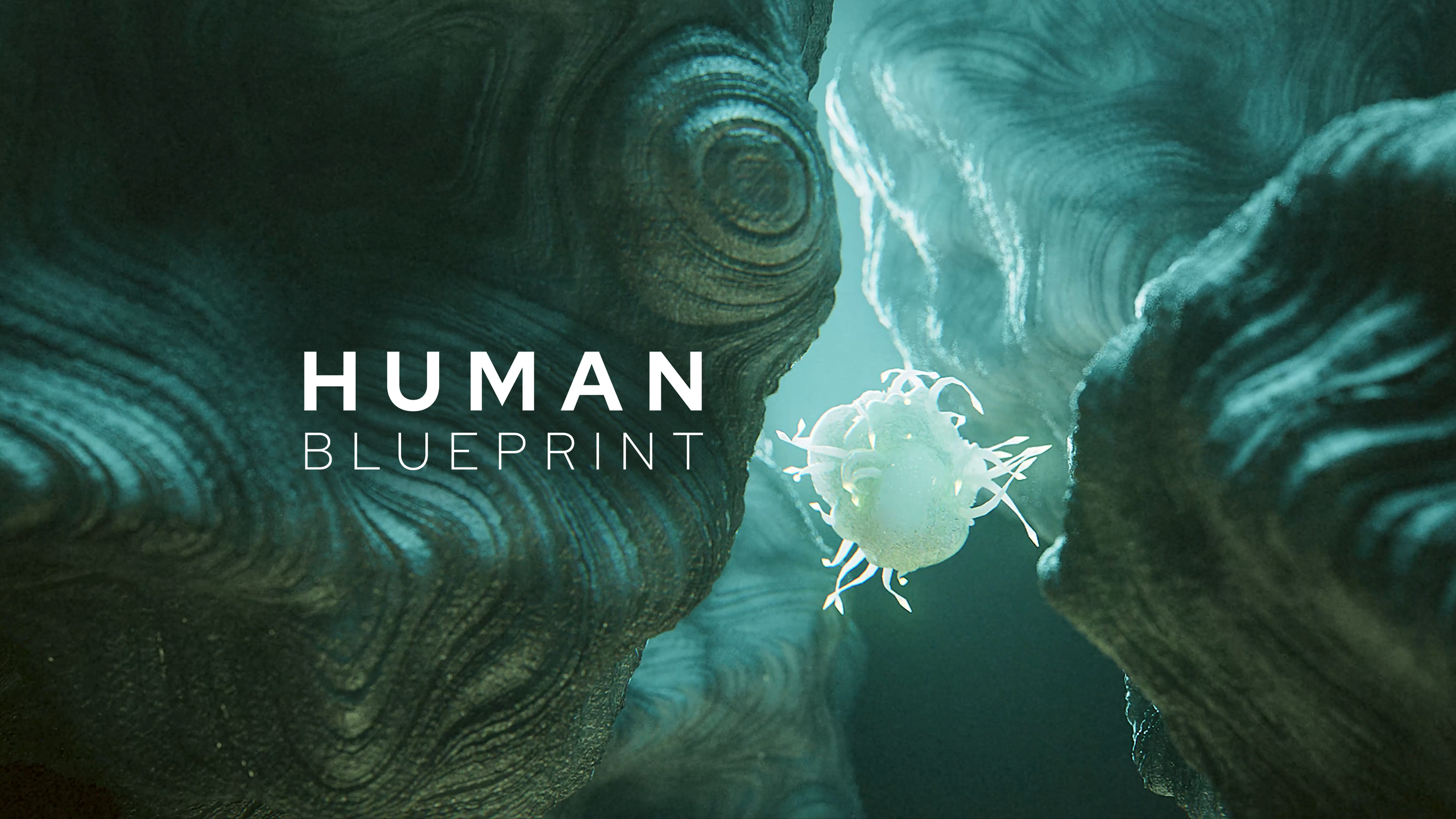 Human Blueprint header ep4.png