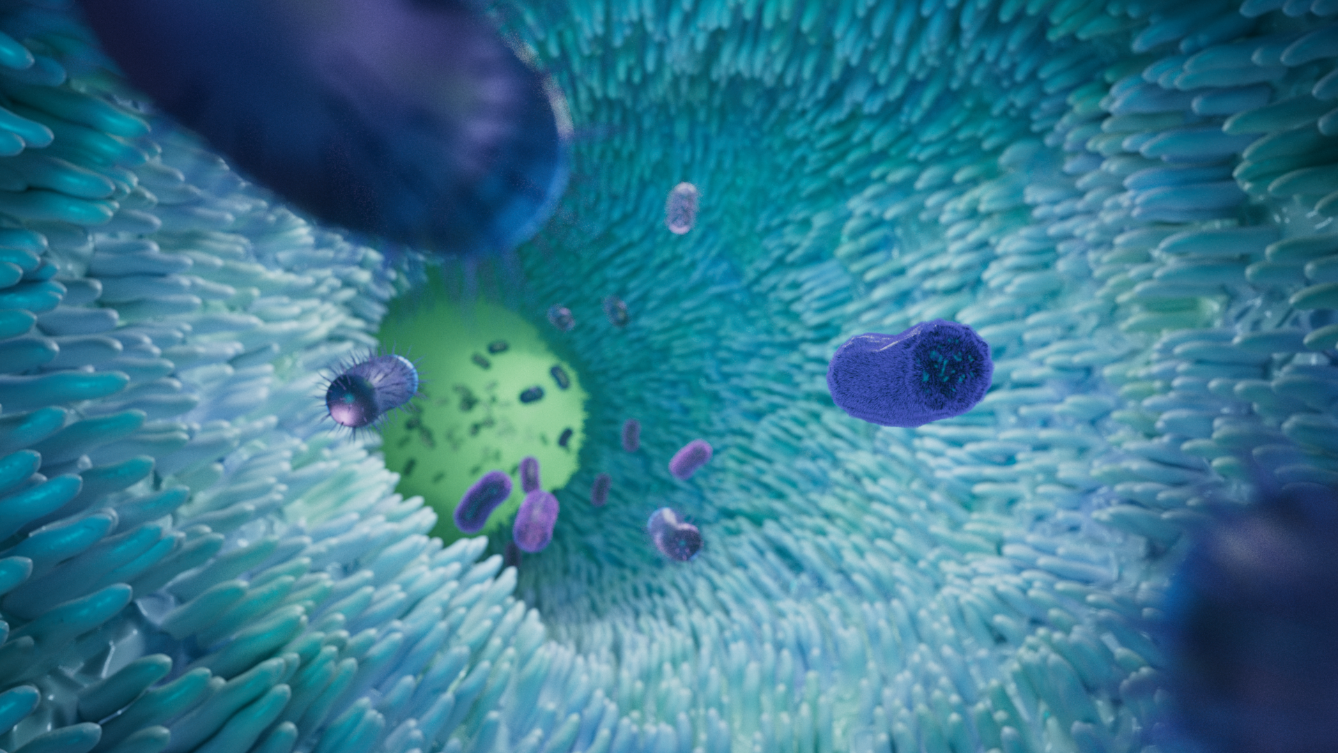 intestines with bacteria 3D animation for Hans Clevers Hubrecht