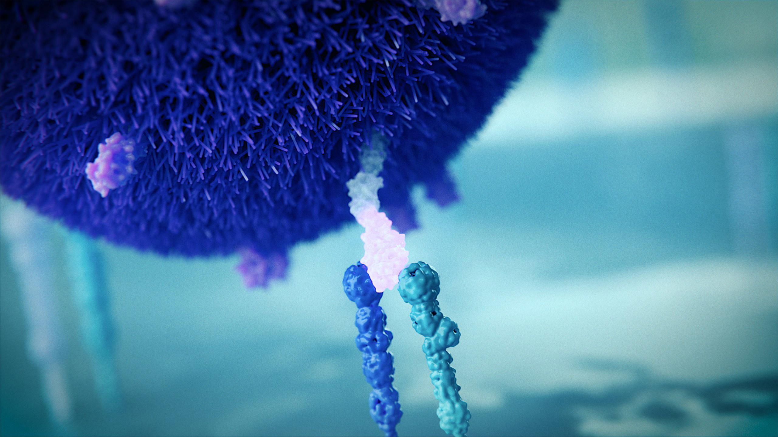 Bacteria connecting with integrins in intestine, taken from our 3D animation on cell culture technology for Hans Clevers and the Hubrecht Institute