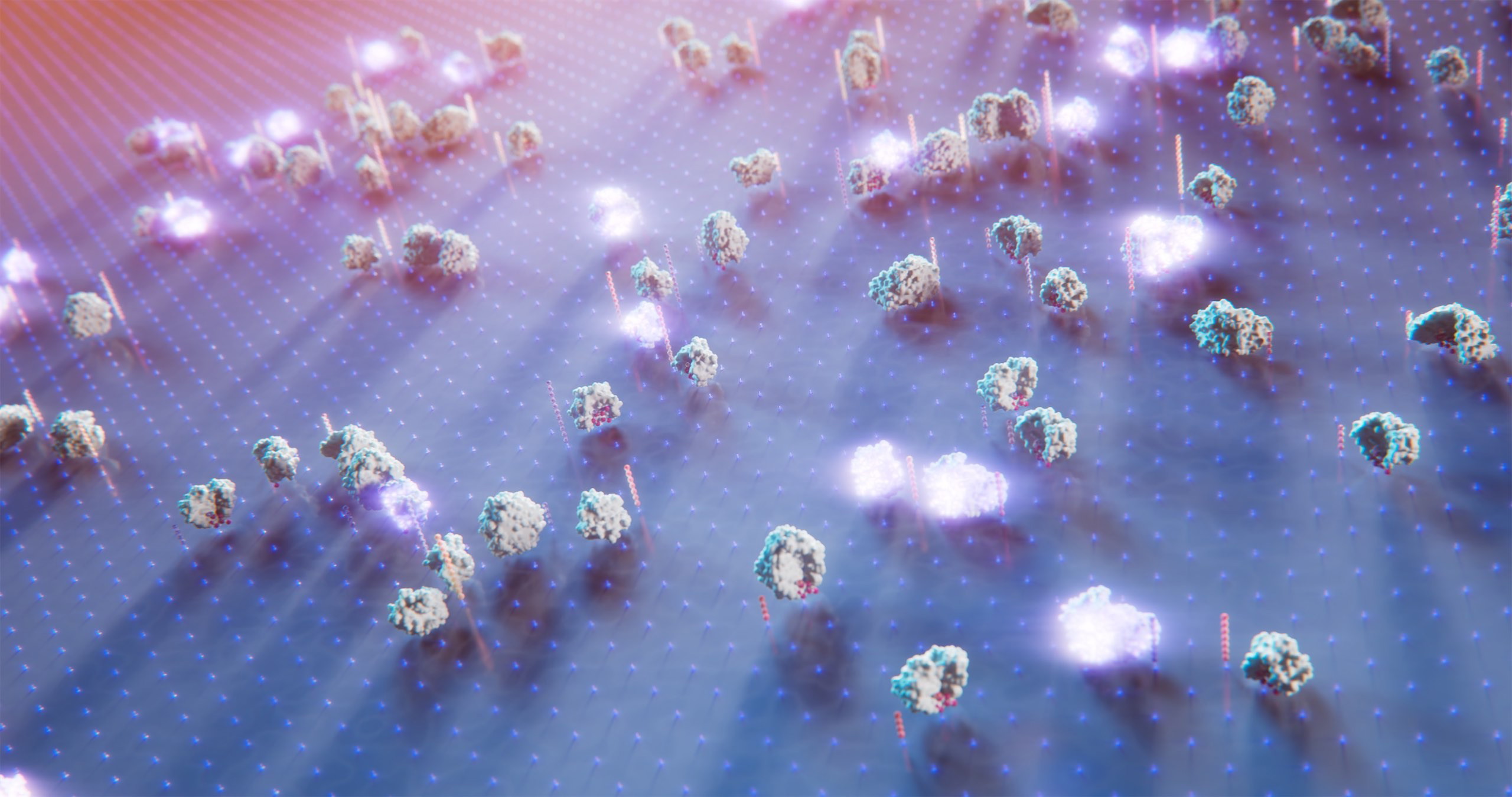 3D animation of Amino acid binders fluoresce in colours to identify amino acids in protein sequencer.jpg