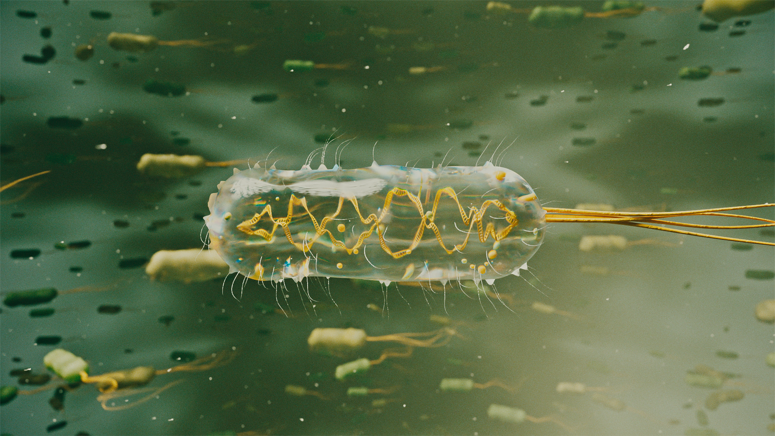 A transparent bacterium revealing its genetic inner structure while surrounded by a dark green bacteria-filled 3D animated landscape, taken from our brand video about Japanese startup Fermelanta and their sustainable cell factories
