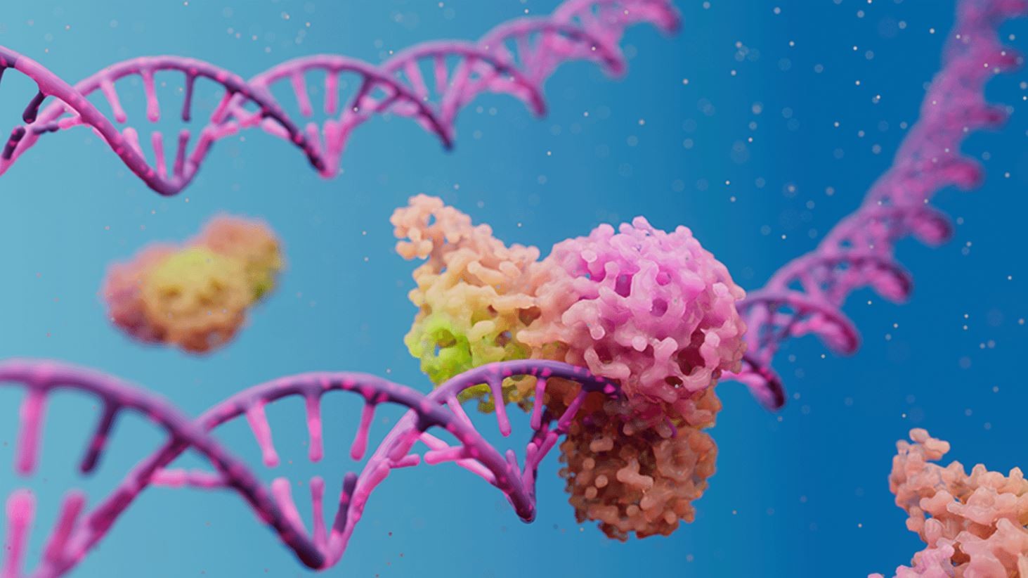 3D animation of DNA RNA Protein Interactions.JPG