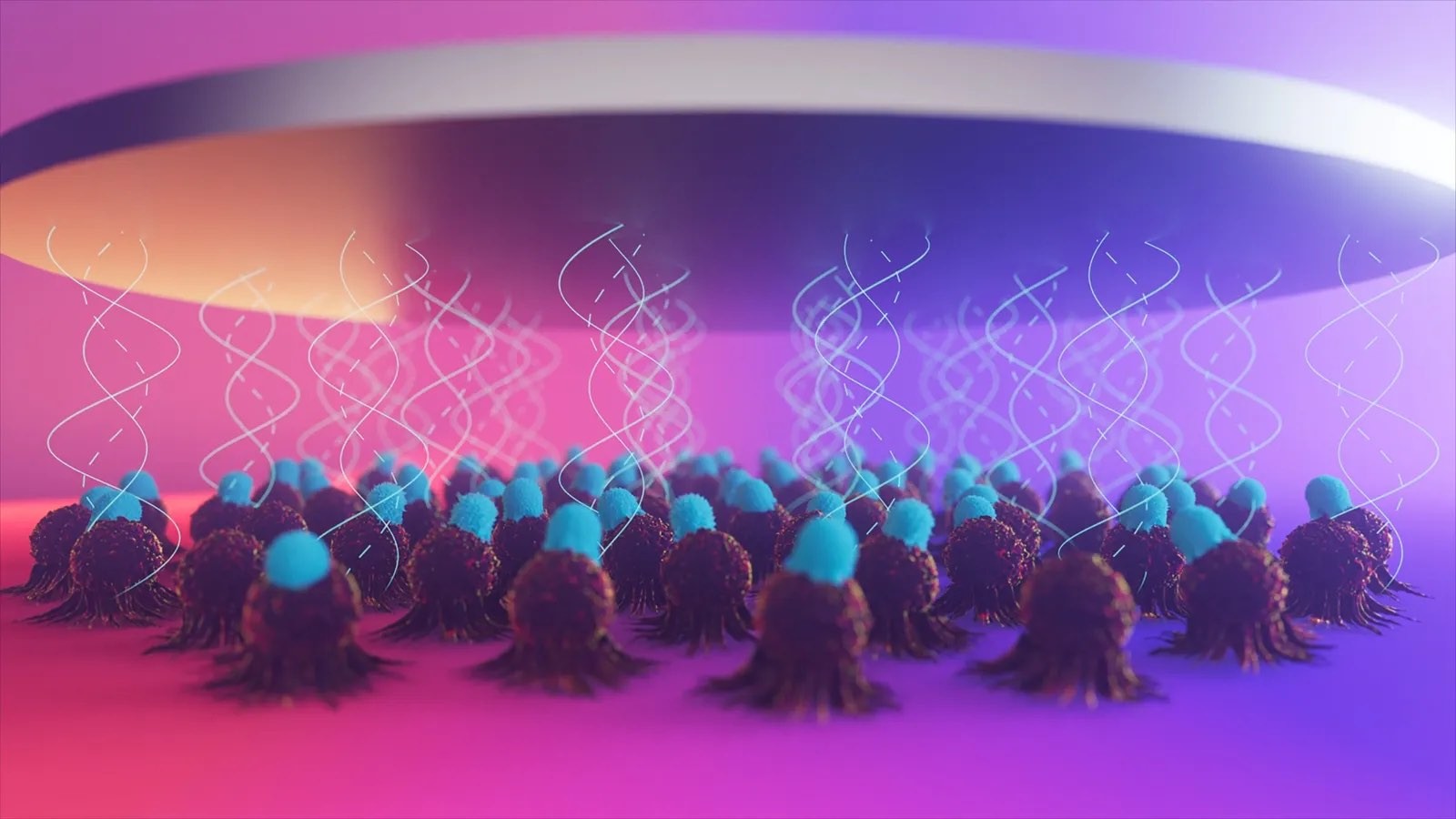 z-Movi effectively measuring cell avidity in colourful environment as 3D animation.jpg