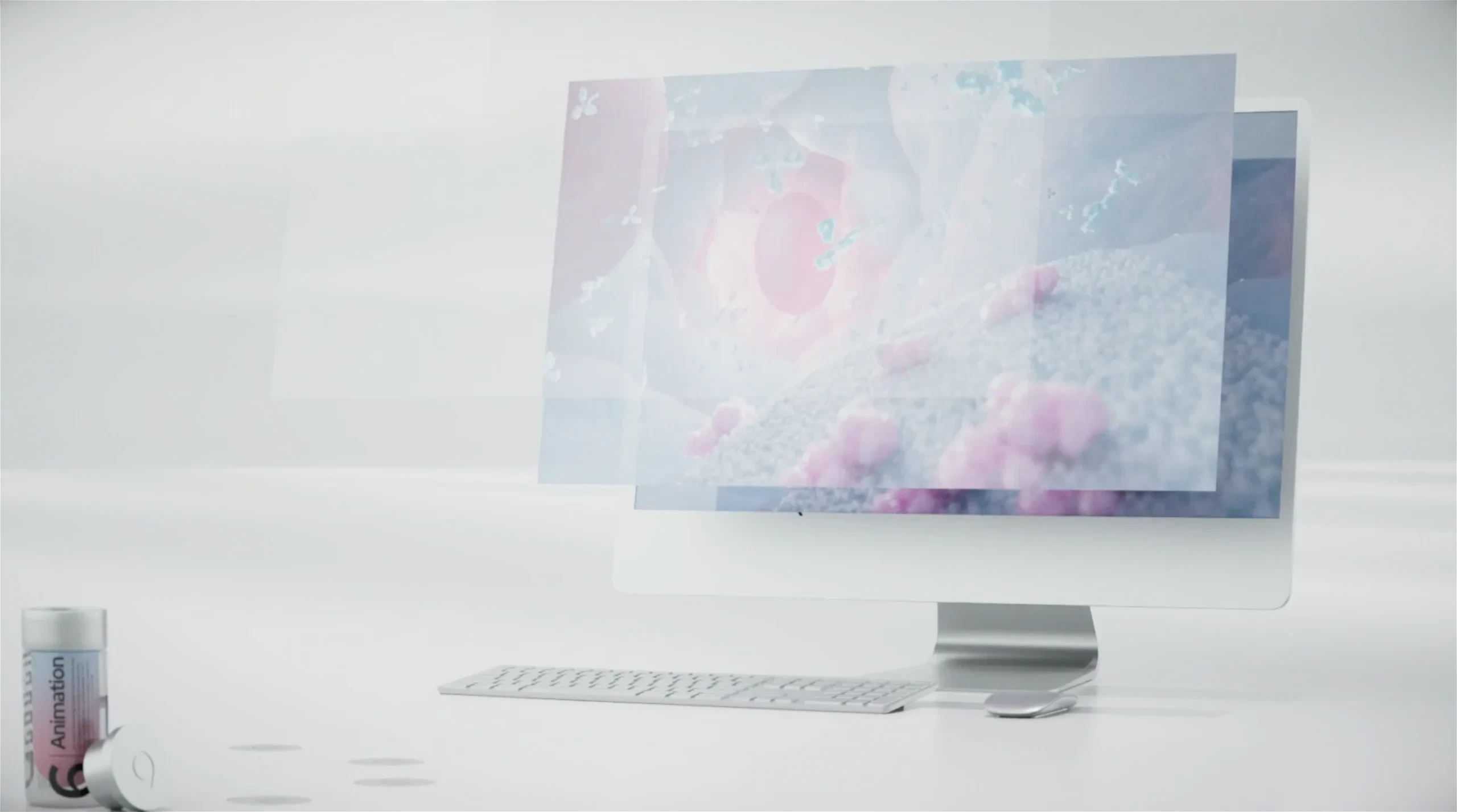 Sensu workflow - Animation.webp