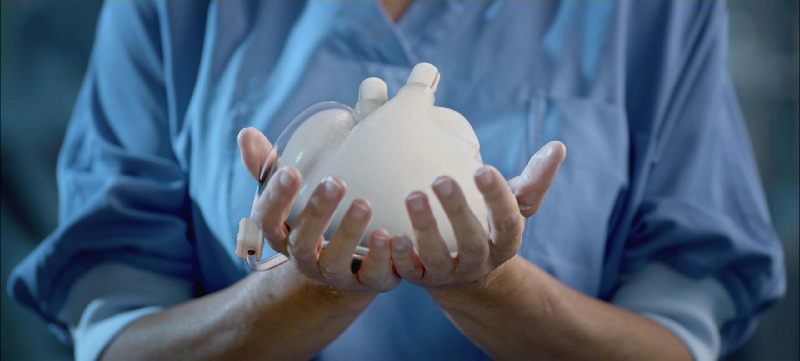 Close-up of hybrid heart in hands.jpg