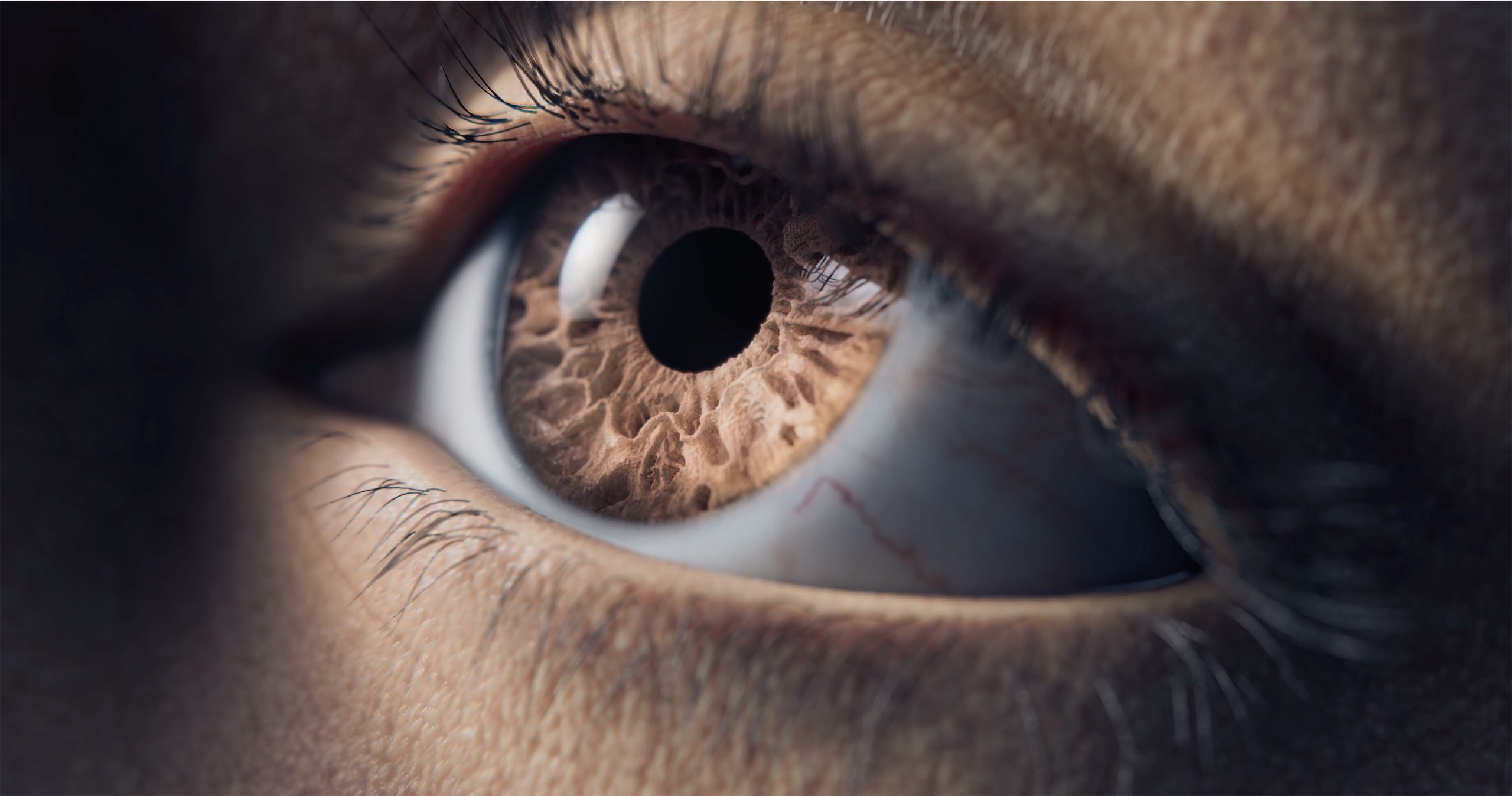 Close-up 3D animation of brown eye.jpg