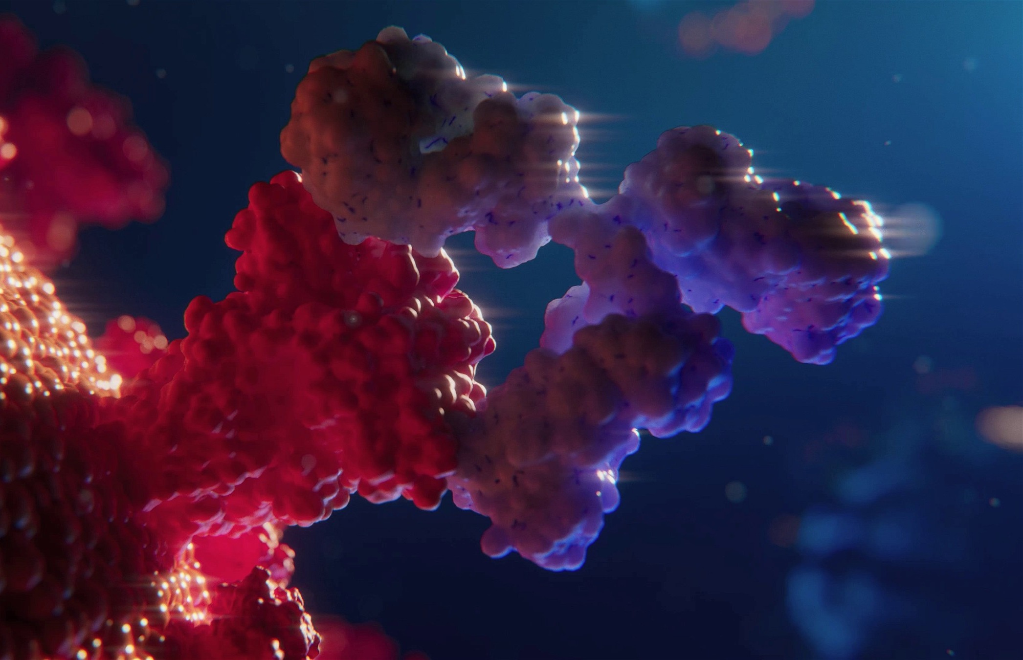 3D animation of antibody binding to receptor on covid virus.jpg