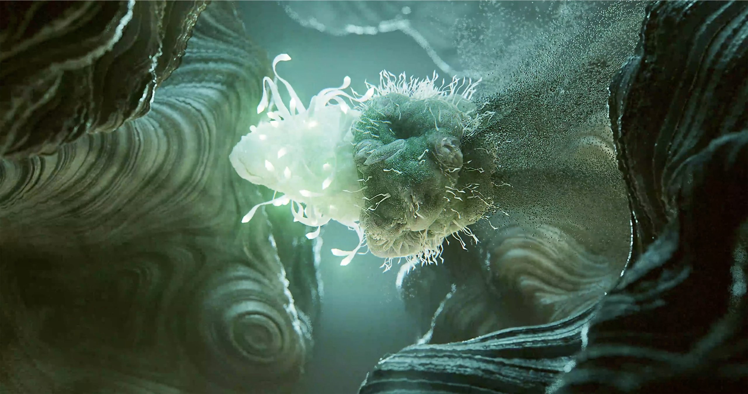 T-Cell destorying pathogen in green environment.jpg