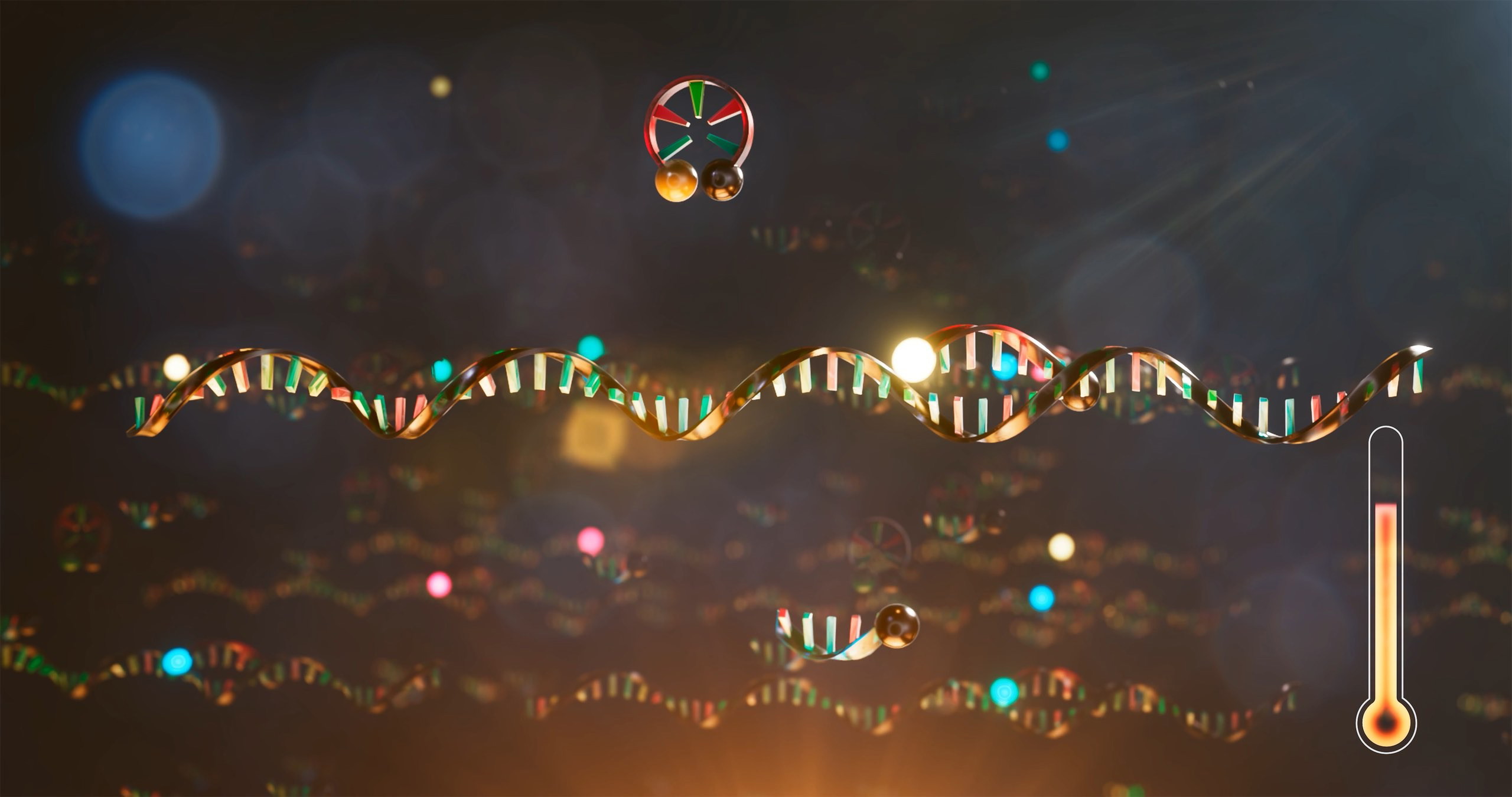 Working technology of FluoroCycler XT in 3D animation.jpg