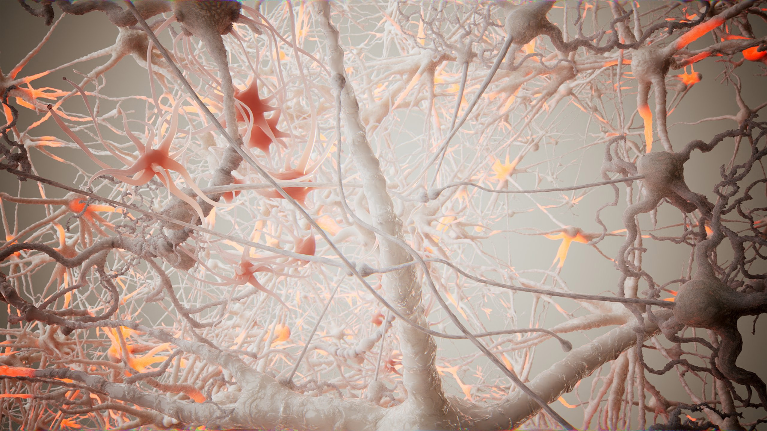 Neural network 3D Animation with colourful neurons in red and white.jpg