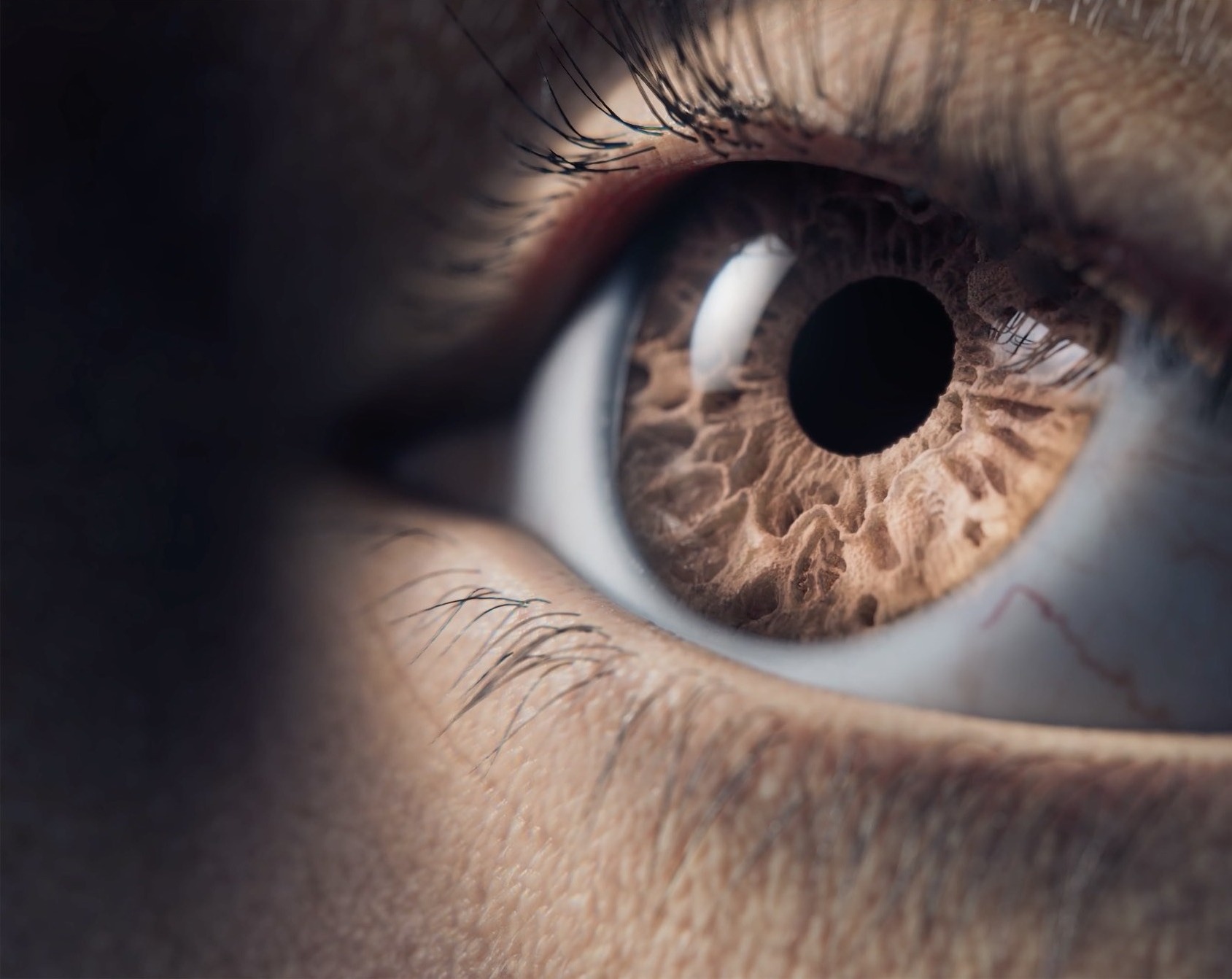 Close-up 3D animation of brown eye.jpg