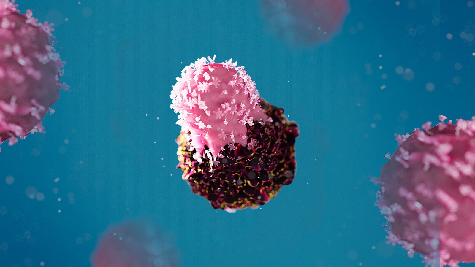 3D animation of Immunology showing cancer cell with pink TCR T-cell on top.jpg
