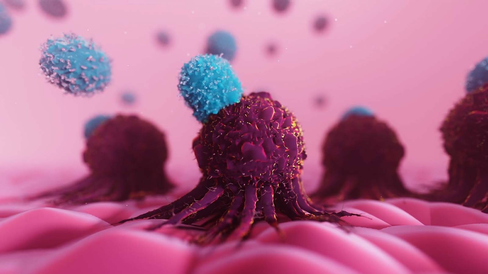 3D animated Tumour cells on pink background in avidity analysis.jpg