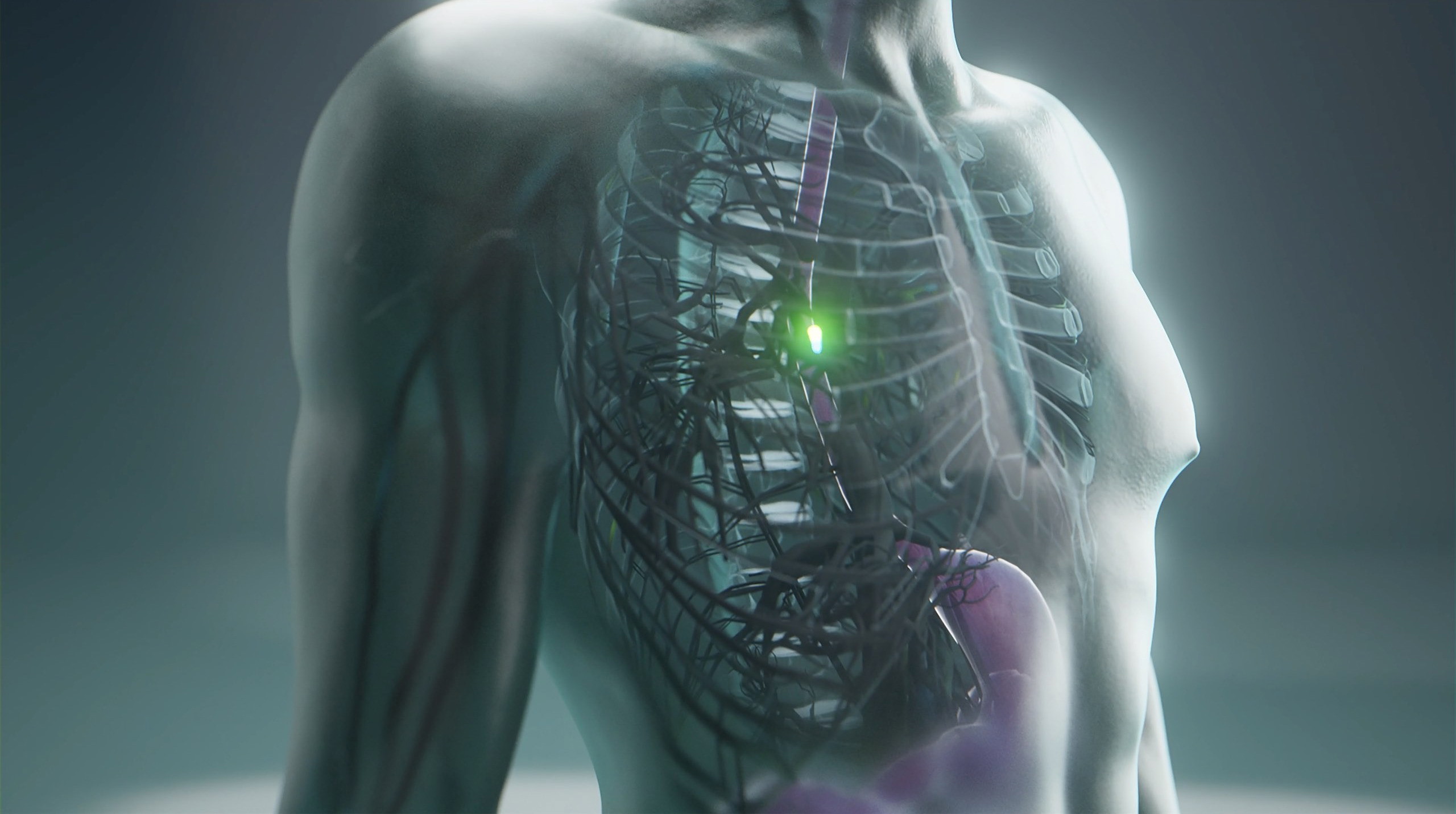 3d animation of See through body where green pill is moving to the stomach.jpg