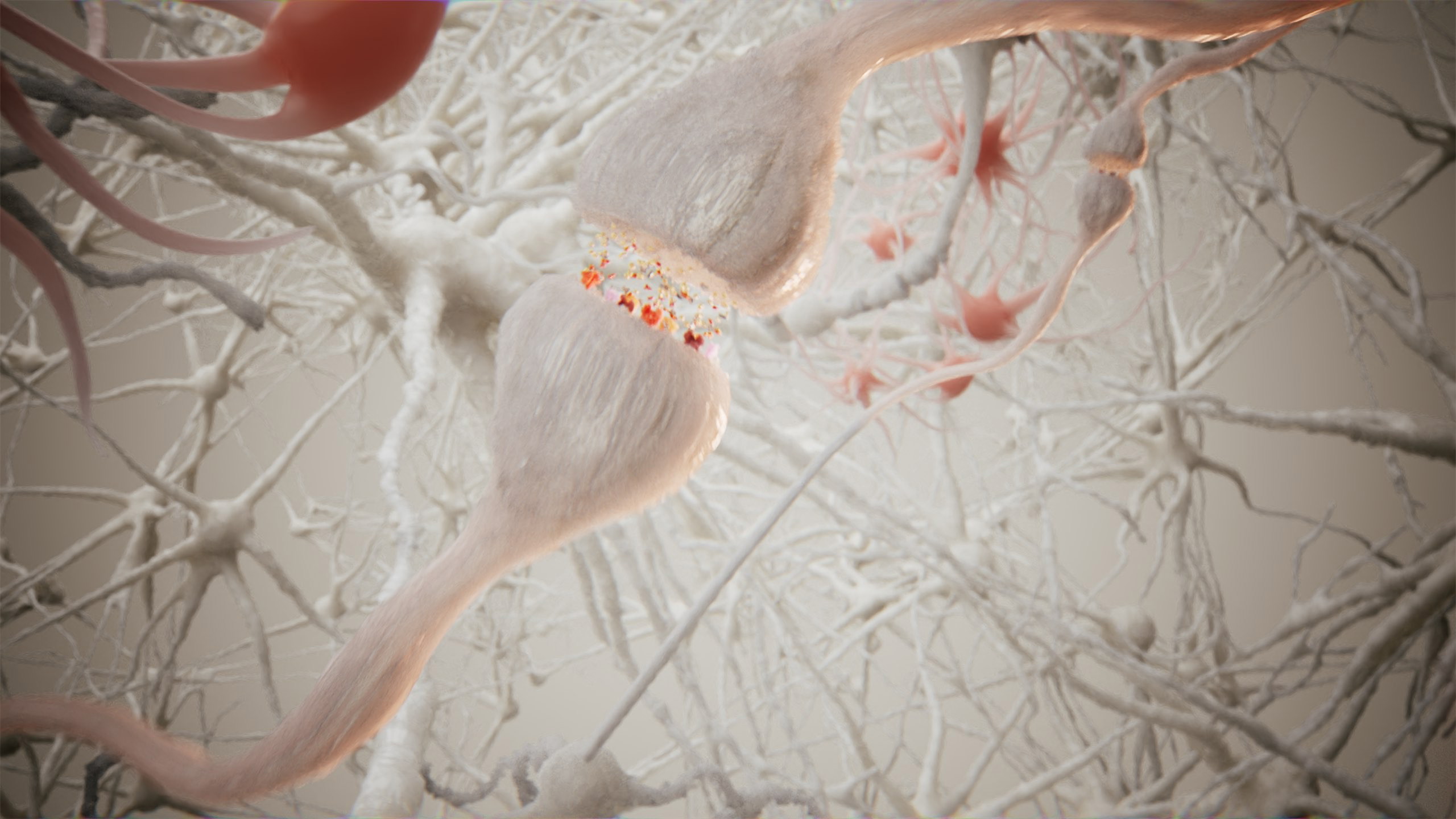 Synaptic cleft in neural network as 3D animation.jpg