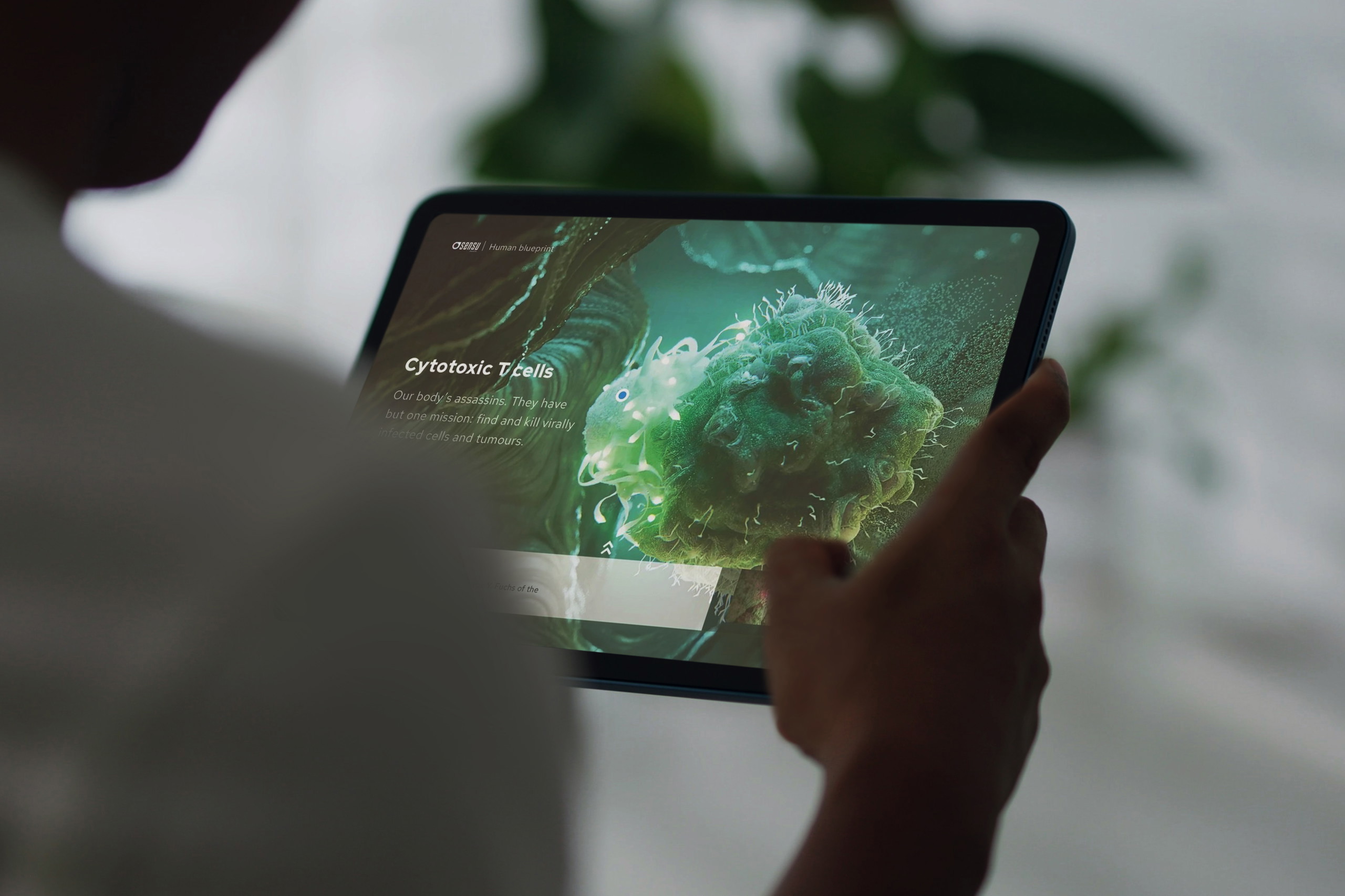 Mock up of ipad with t cell and immune cell green Human Blueprint ELLA platform.jpg