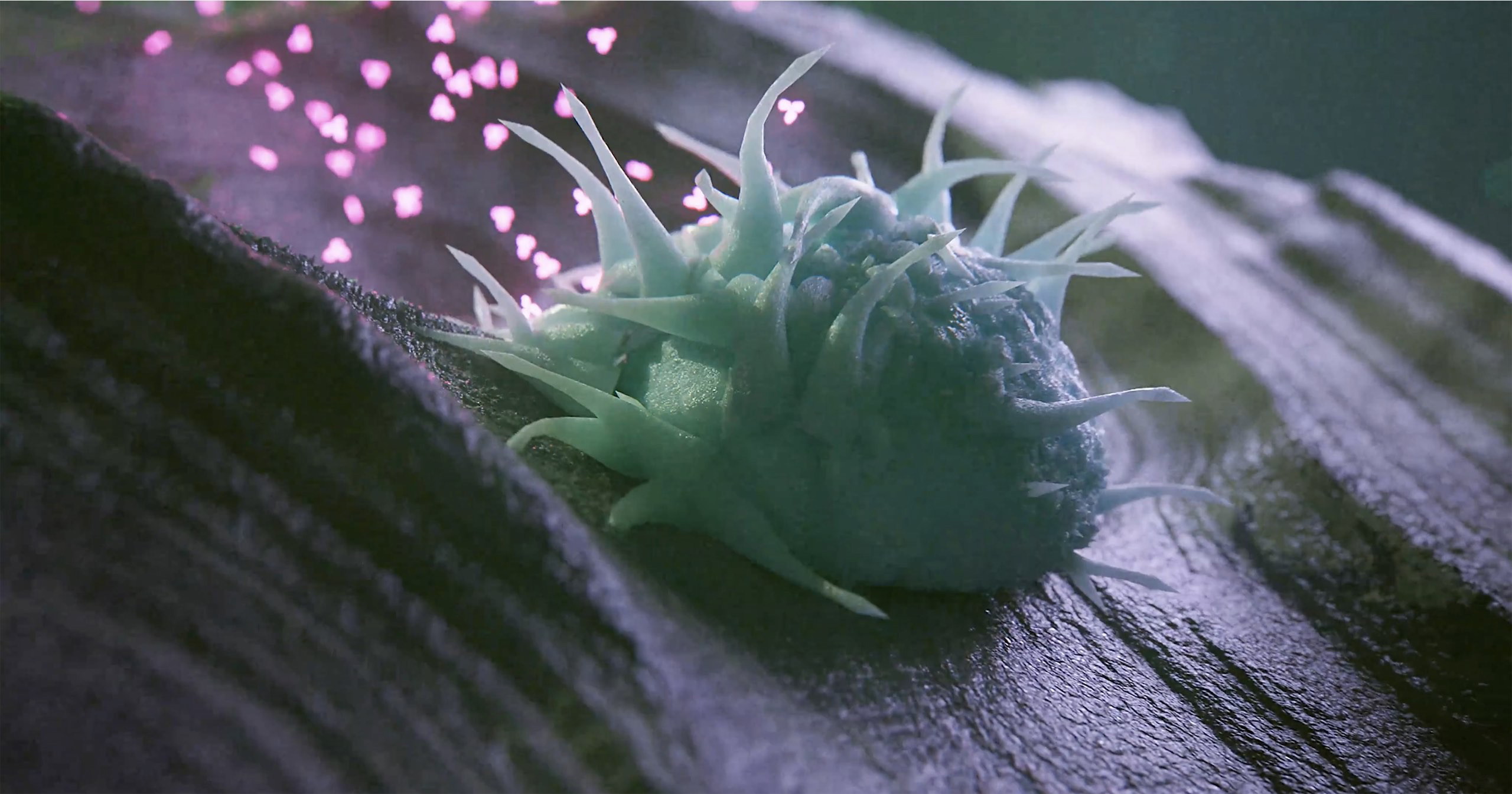 Viral cell being marked for destruction by T cells 3D animation.jpg