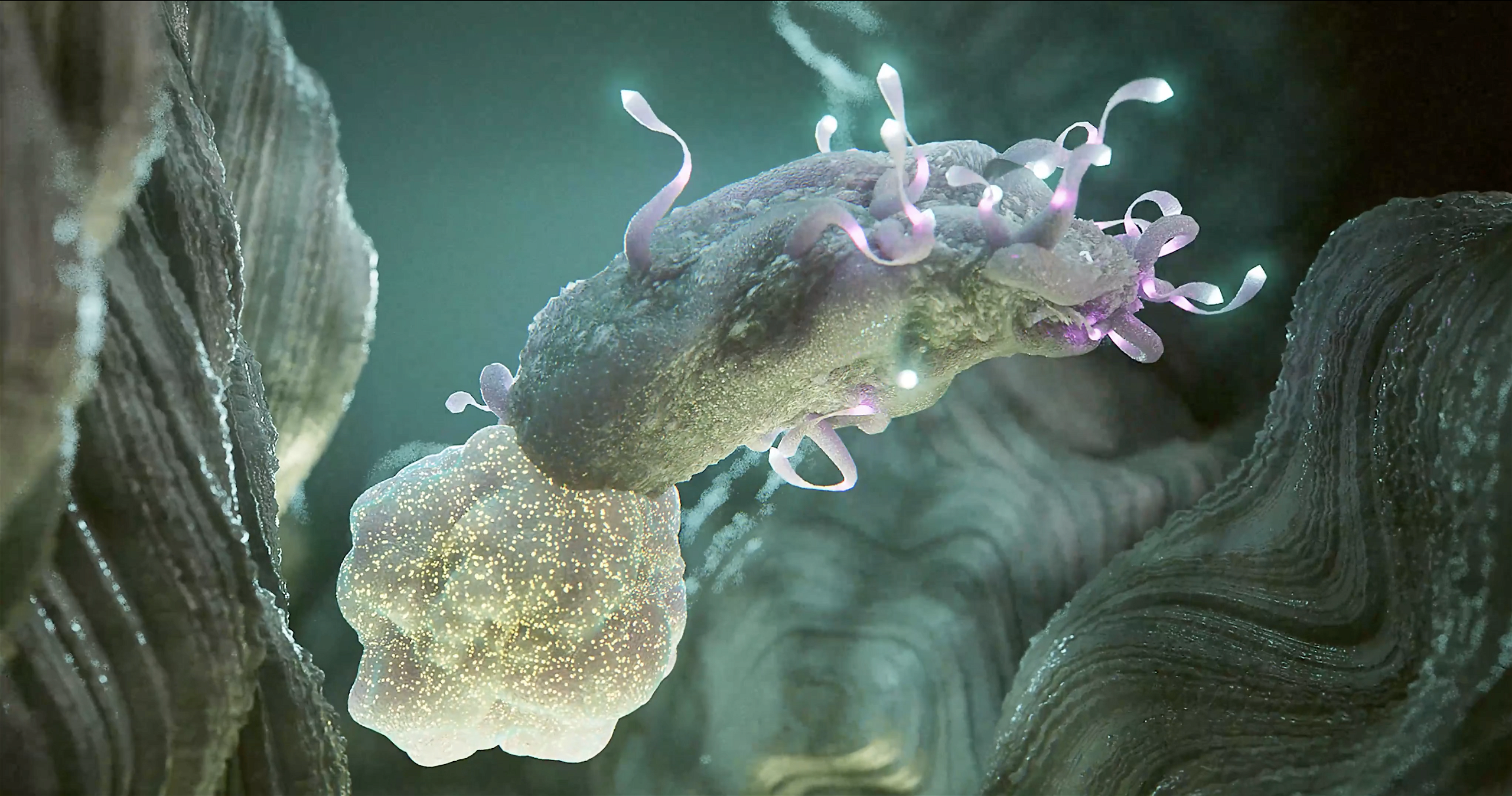 Cytotoxic T cell killing viral cell 3D Animation.png