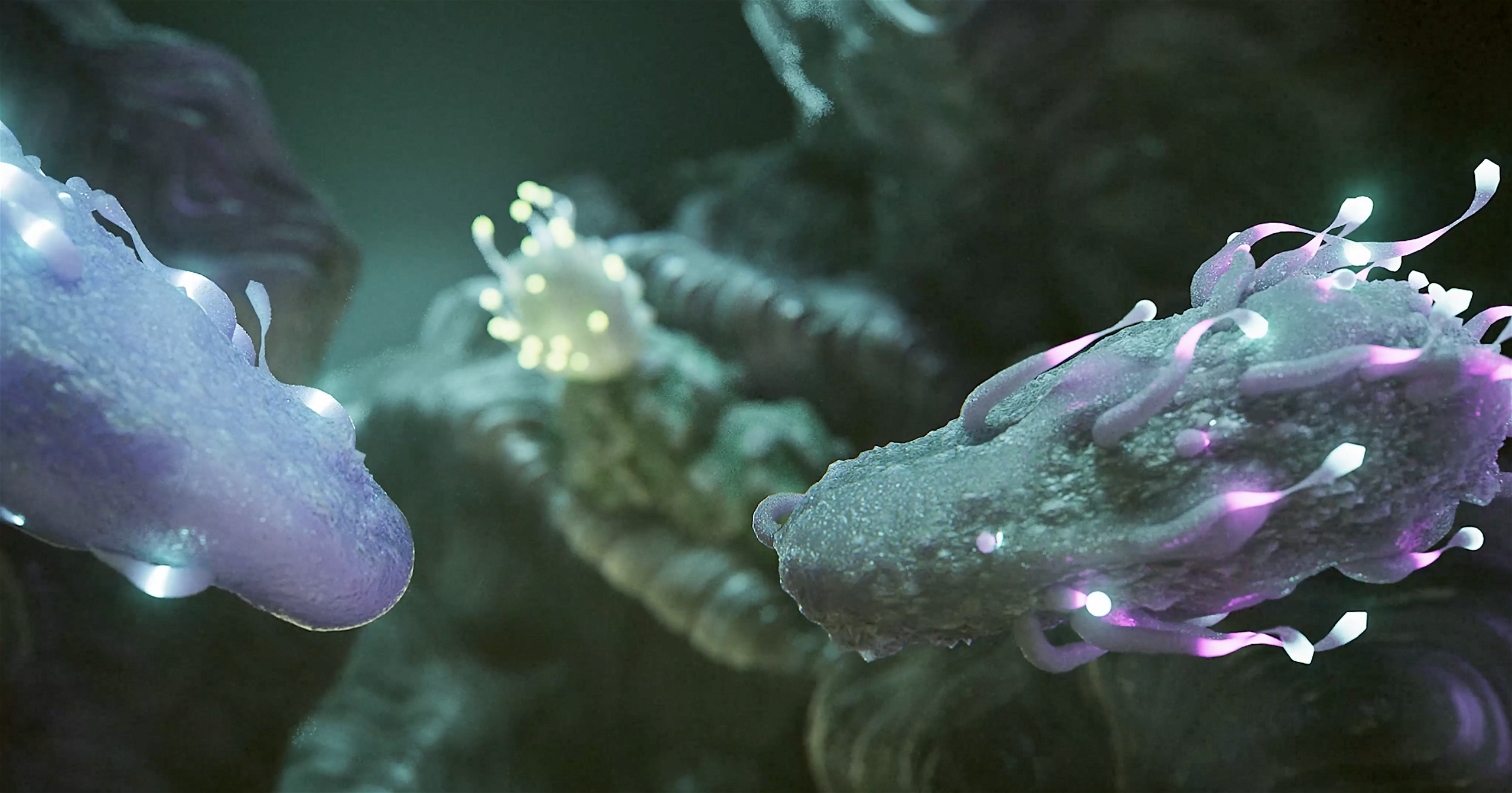 Helper T cells can be seen as the orchestrators of the immune system.png