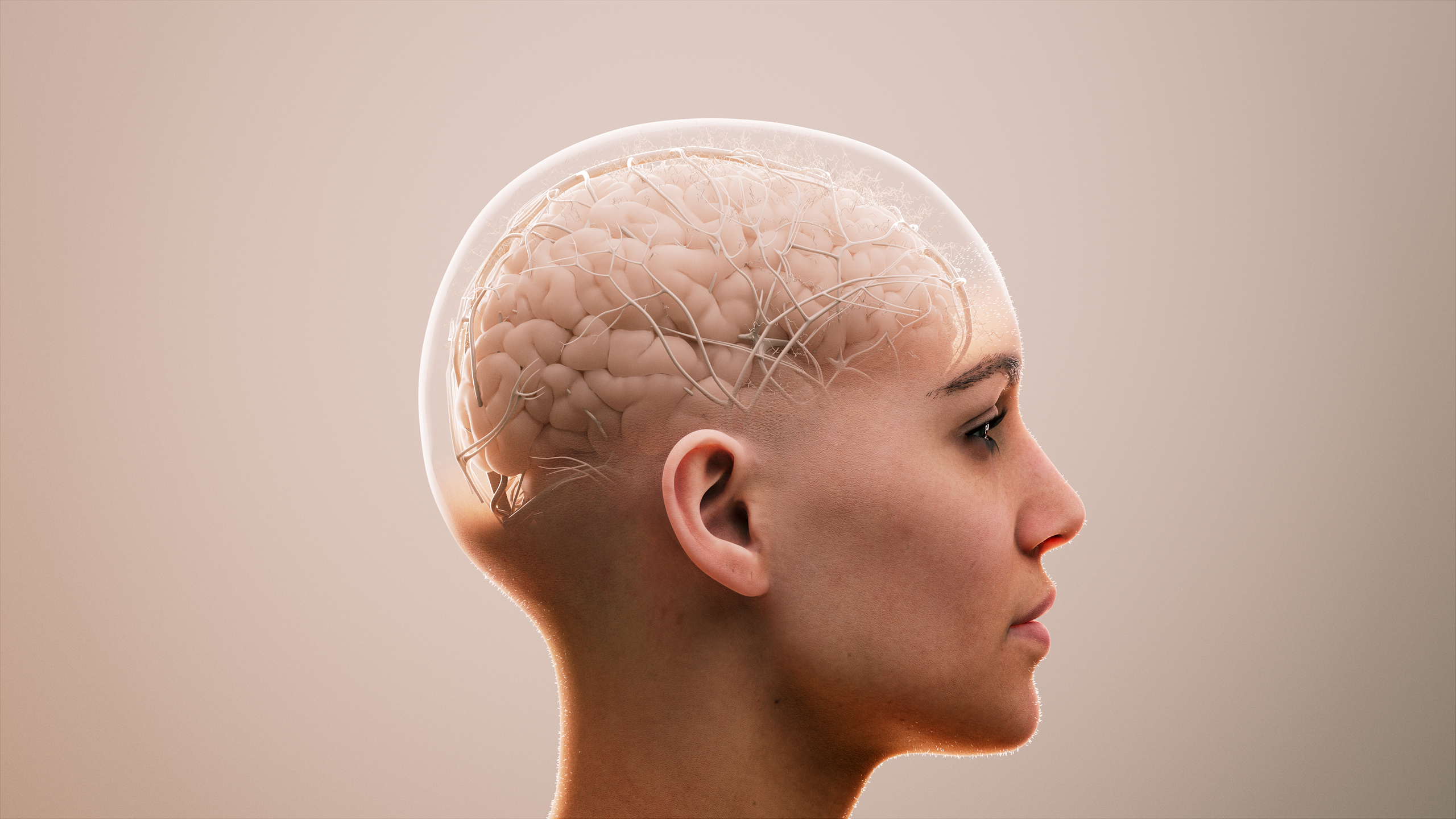 3D animation of sideview of head where brain network is visible