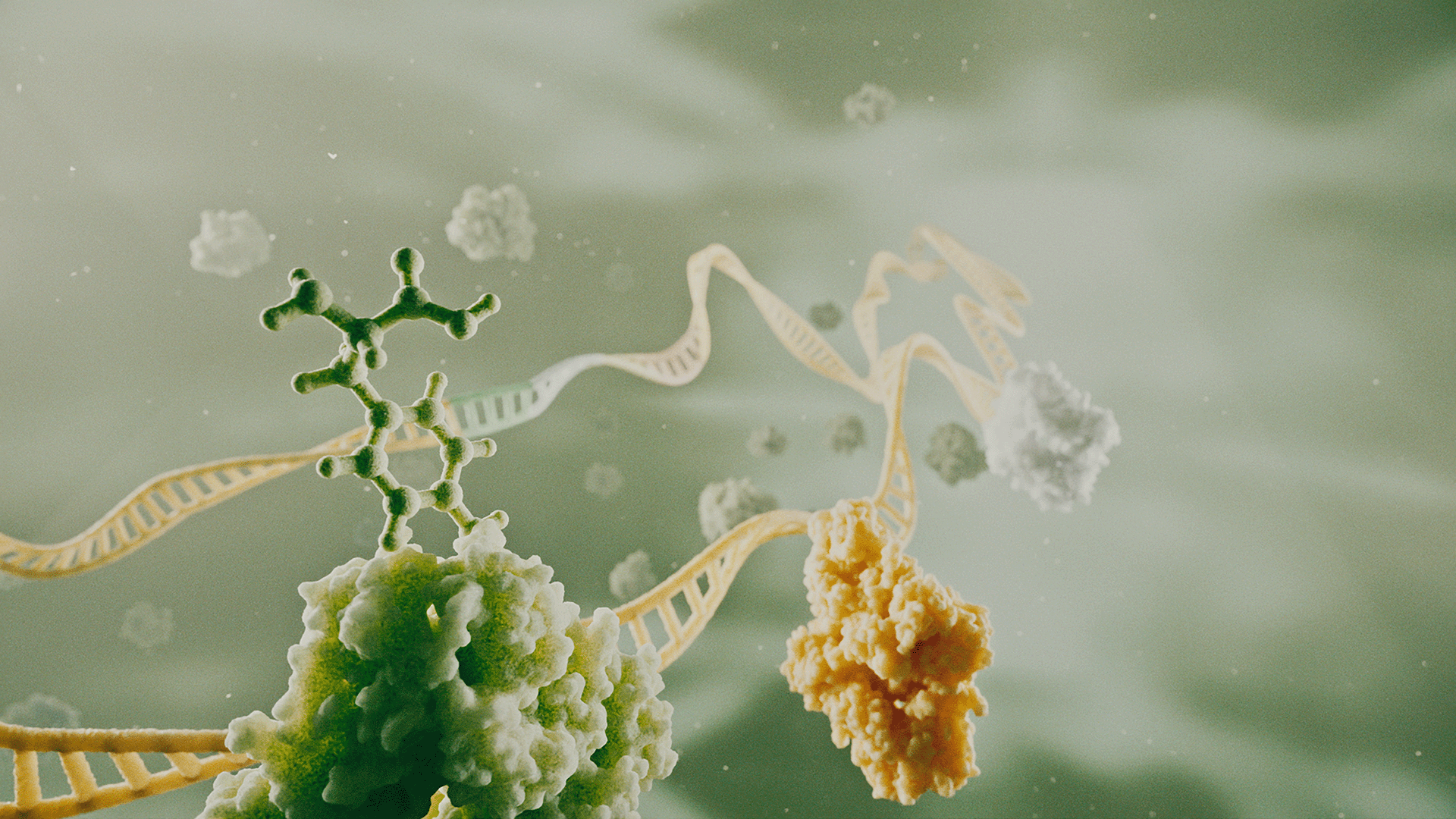 Fermelanta 3d animation enzymes dna strand