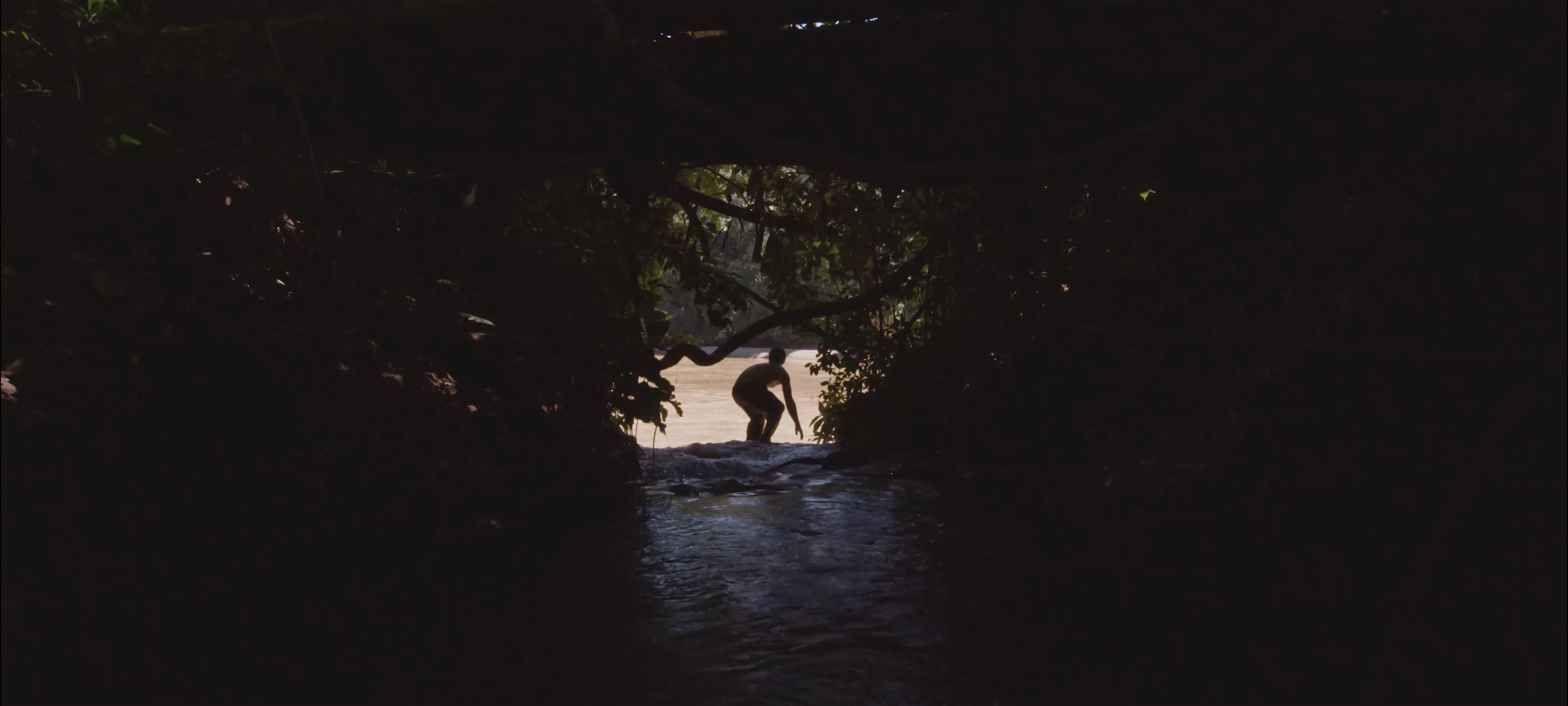 dark green still paul jumping into water dark