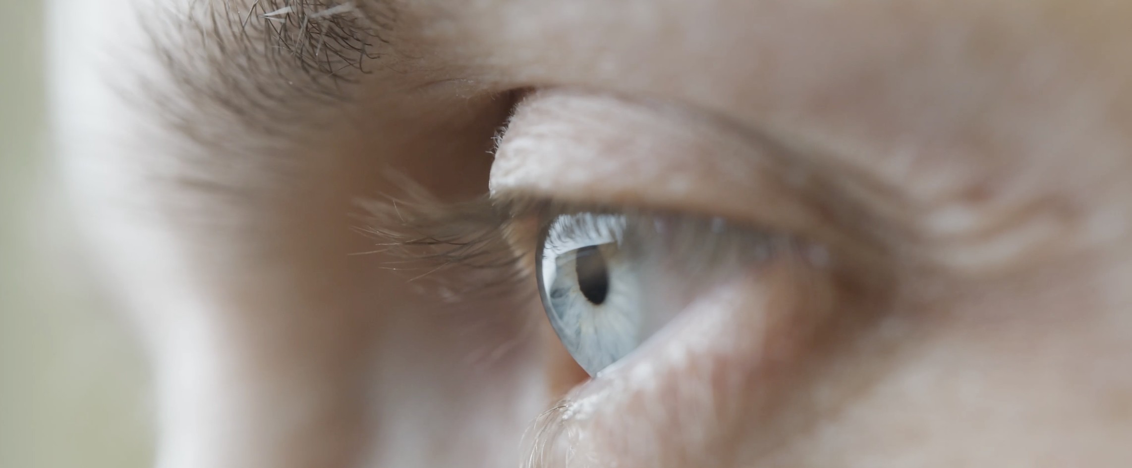 macro shot of a blue eye.jpg