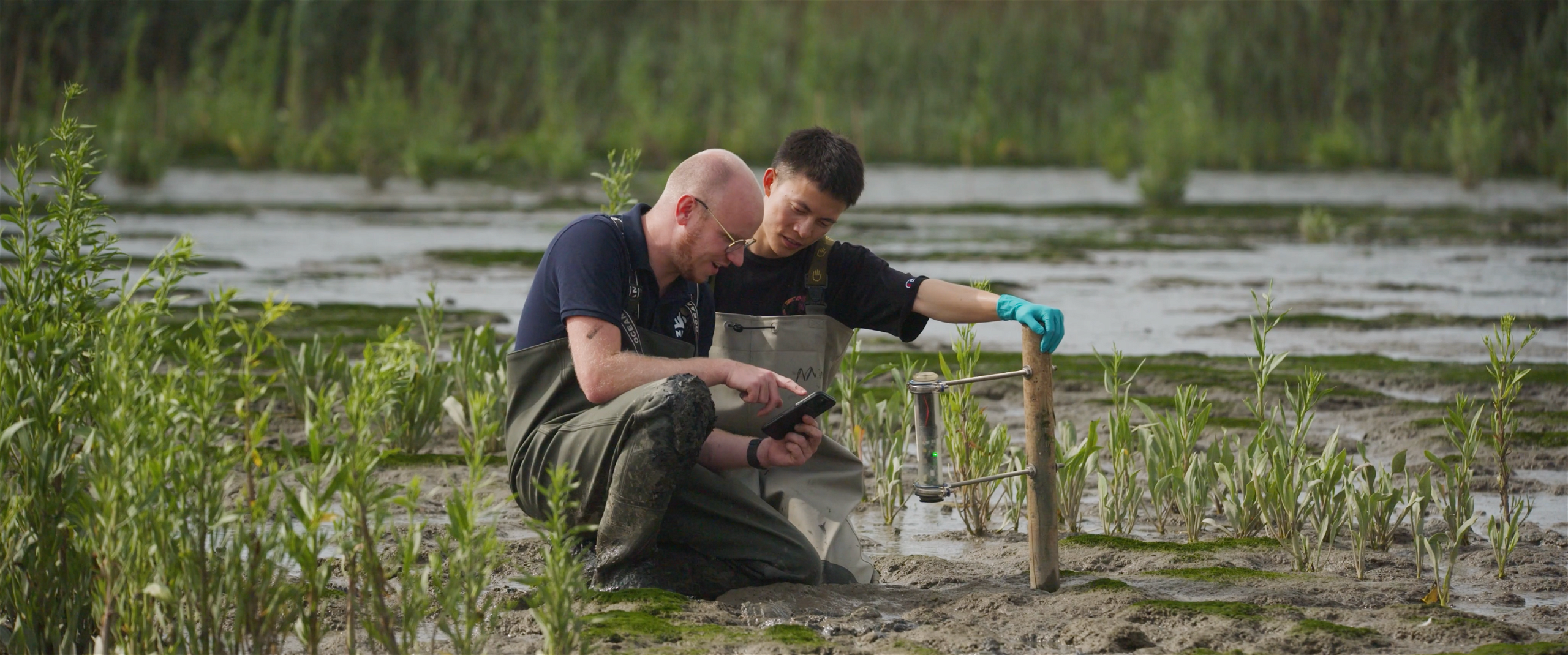 Nioz still two researchers in water