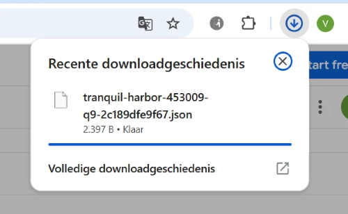 Schermafbeelding 2025-06-12 125447.png