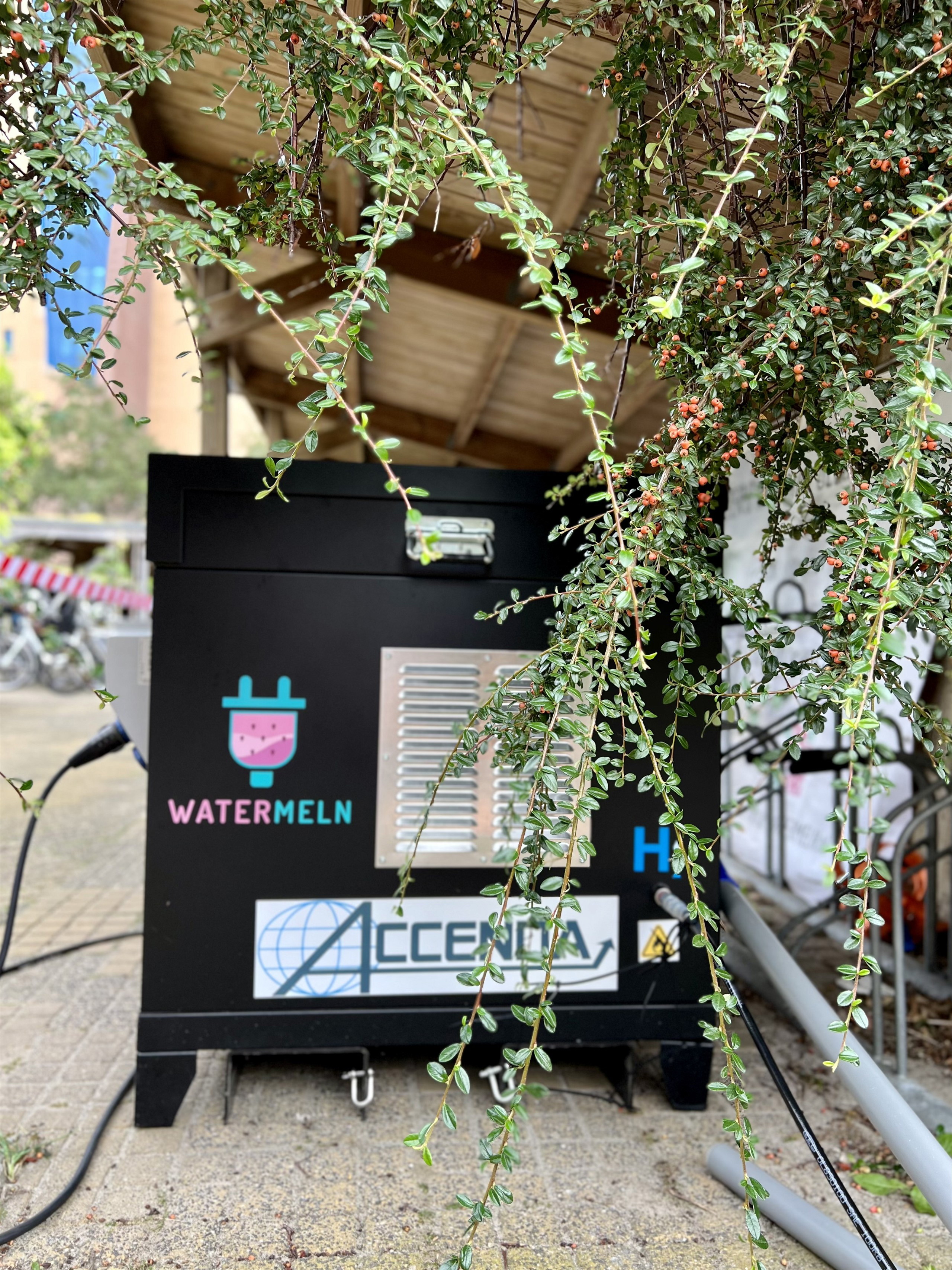 Watermeln mini