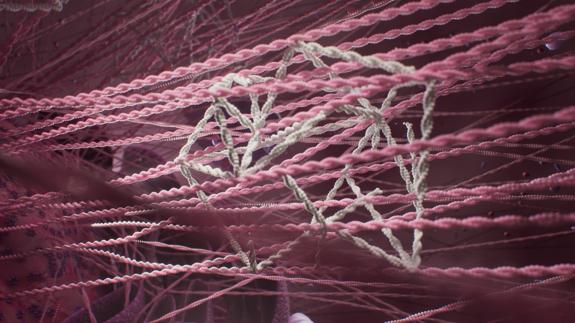 Clans formation_Still.png