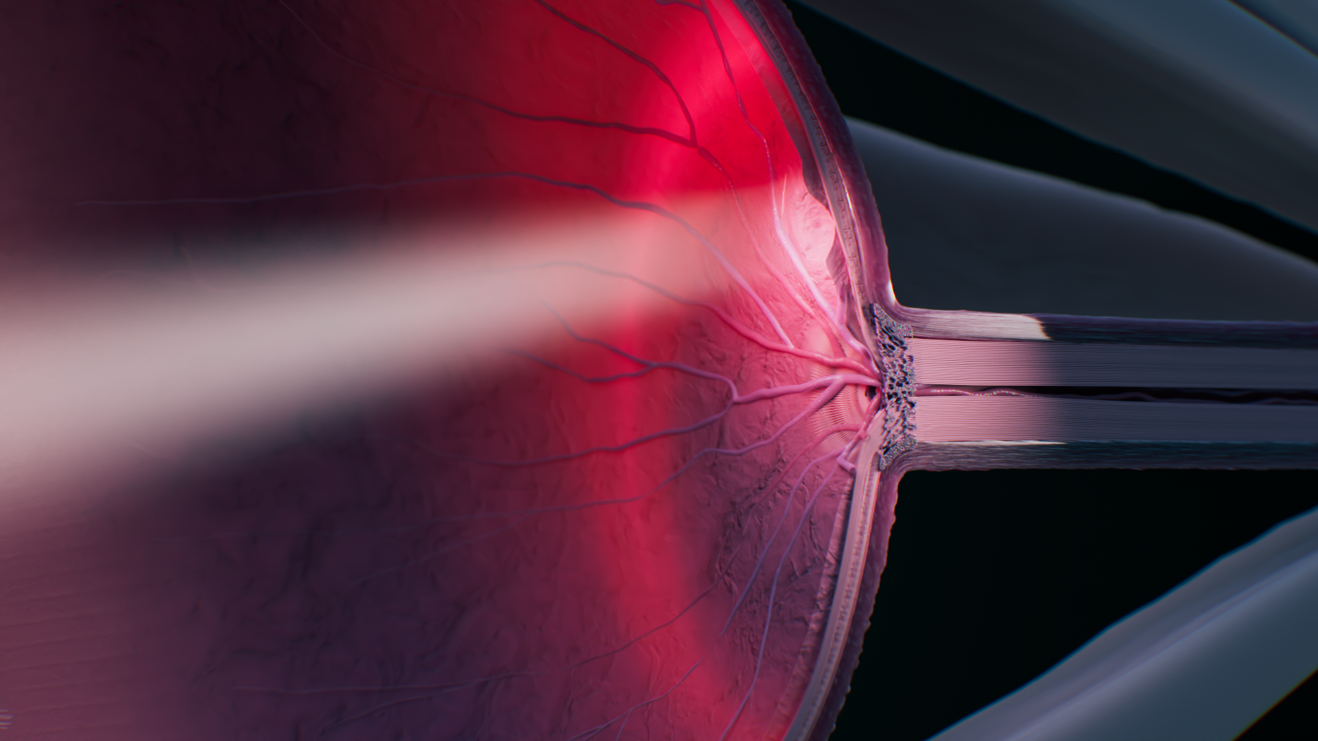 Santen Eyesite_Slide_07.png