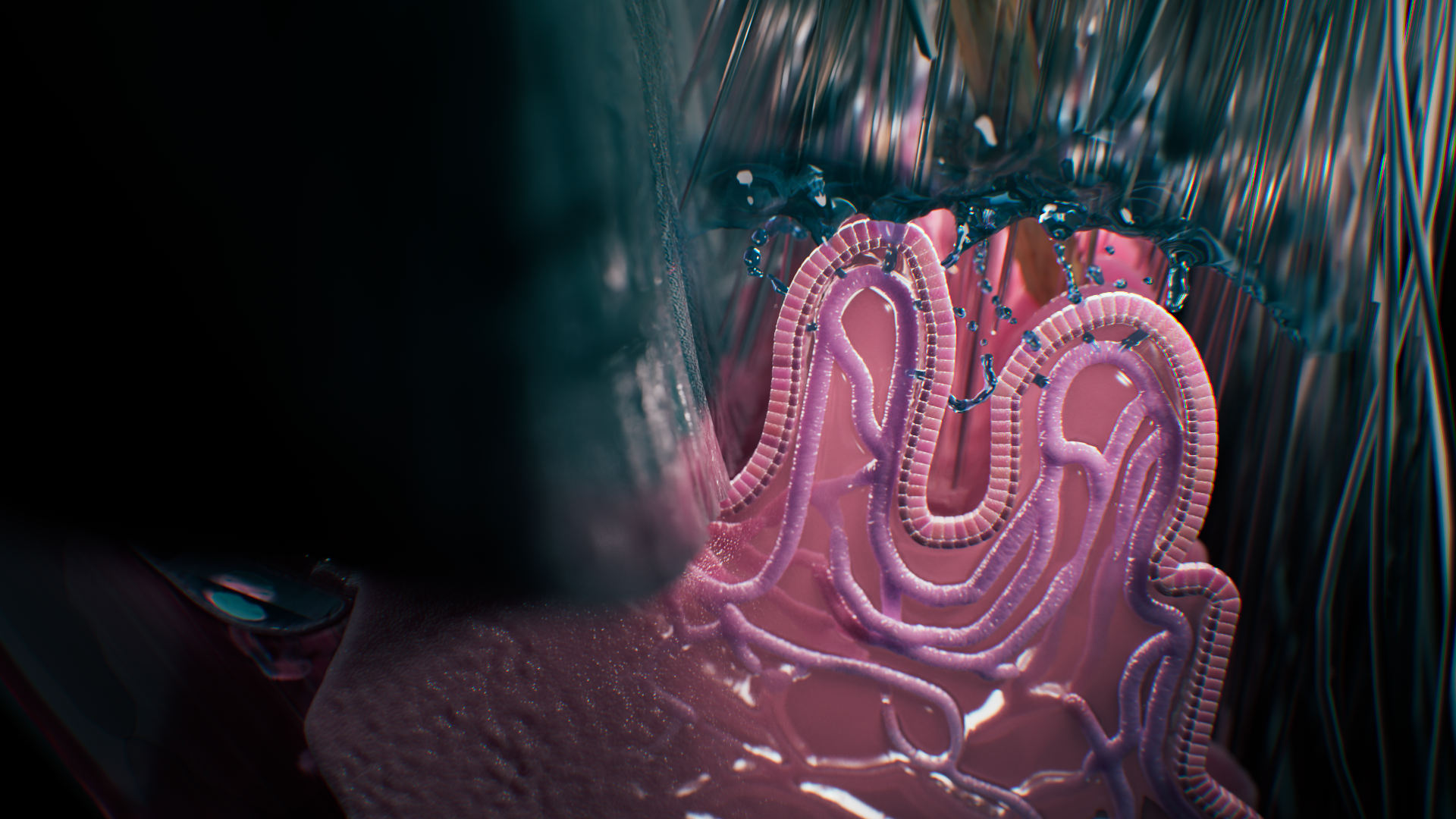 Ciliary body_Still.png