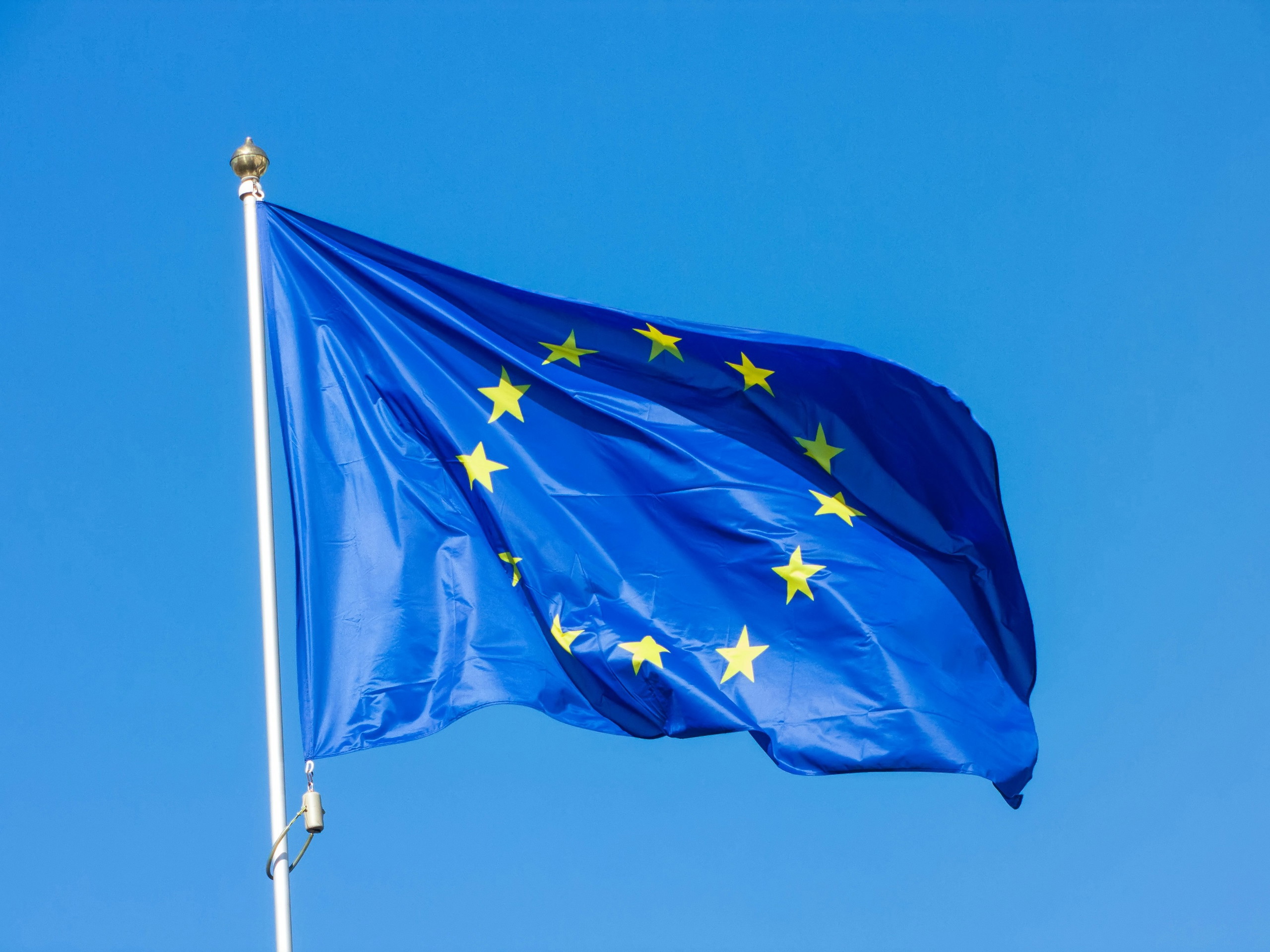 Europese vlag.jpg